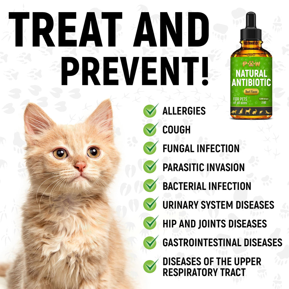 Golden Paw zoom sur la canneberge utilisée, soutien des voies urinaires naturel