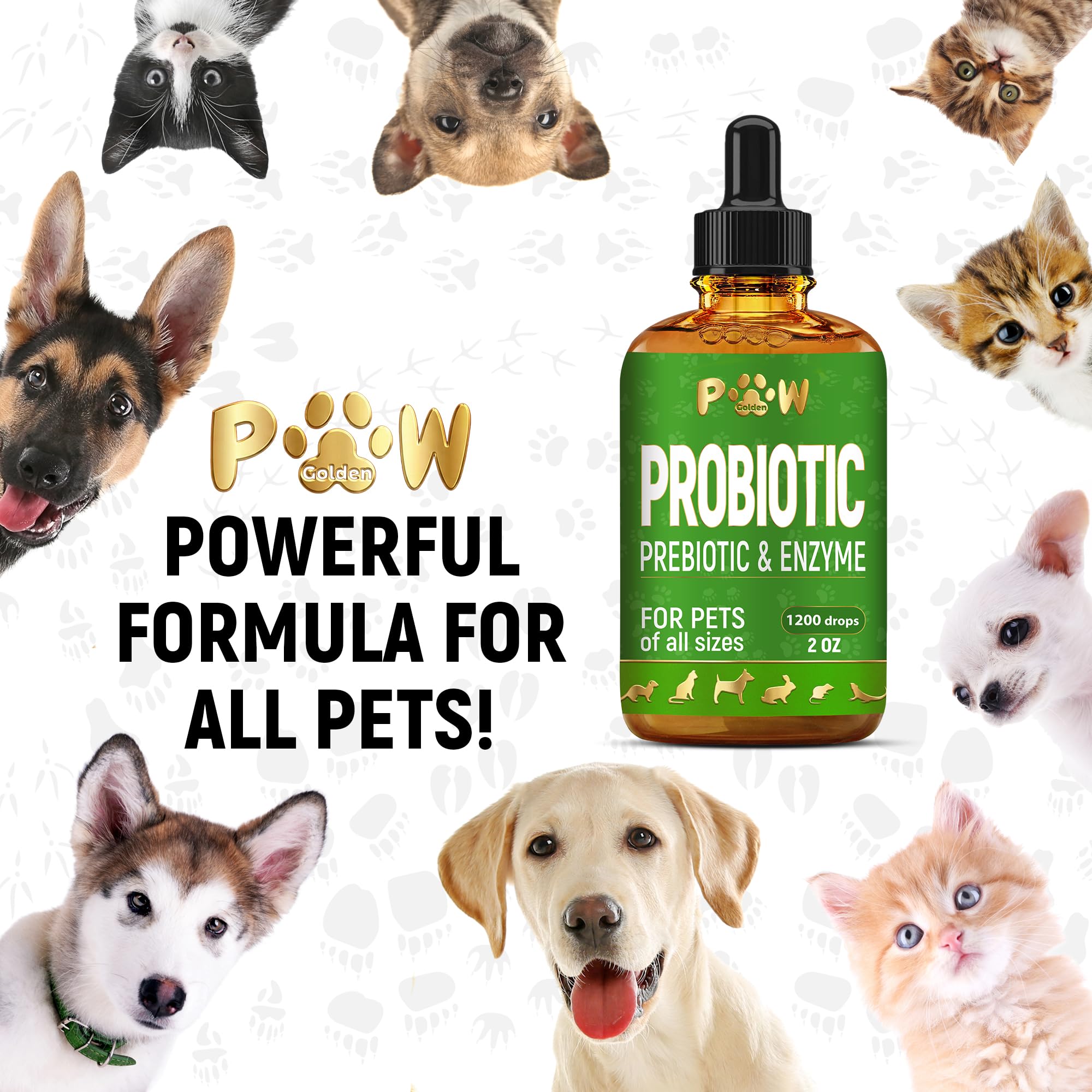 Golden Paw étiquette ingrédients biologiques mettant en valeur composition naturelle