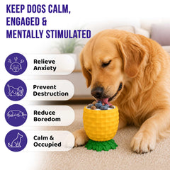 Golden Pup Enrichment gros plan caoutchouc naturel, durable et sûr