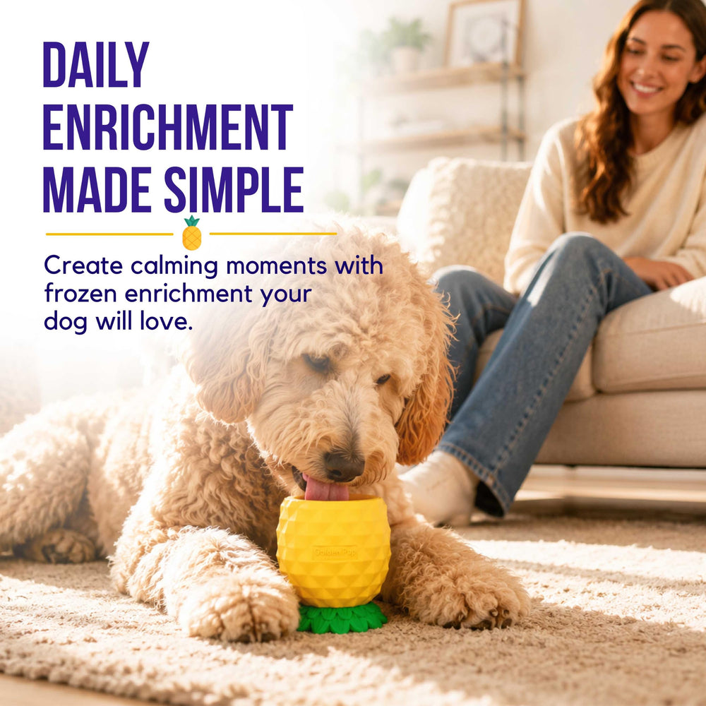 Golden Pup Enrichment coupe dans le lave-vaisselle pour nettoyage facile