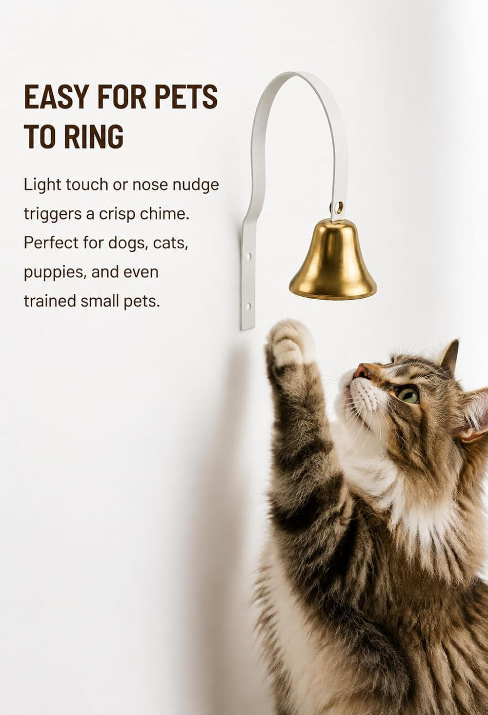 GoldTiger détail de la bague de cloche, ton net et durable pour entraînement