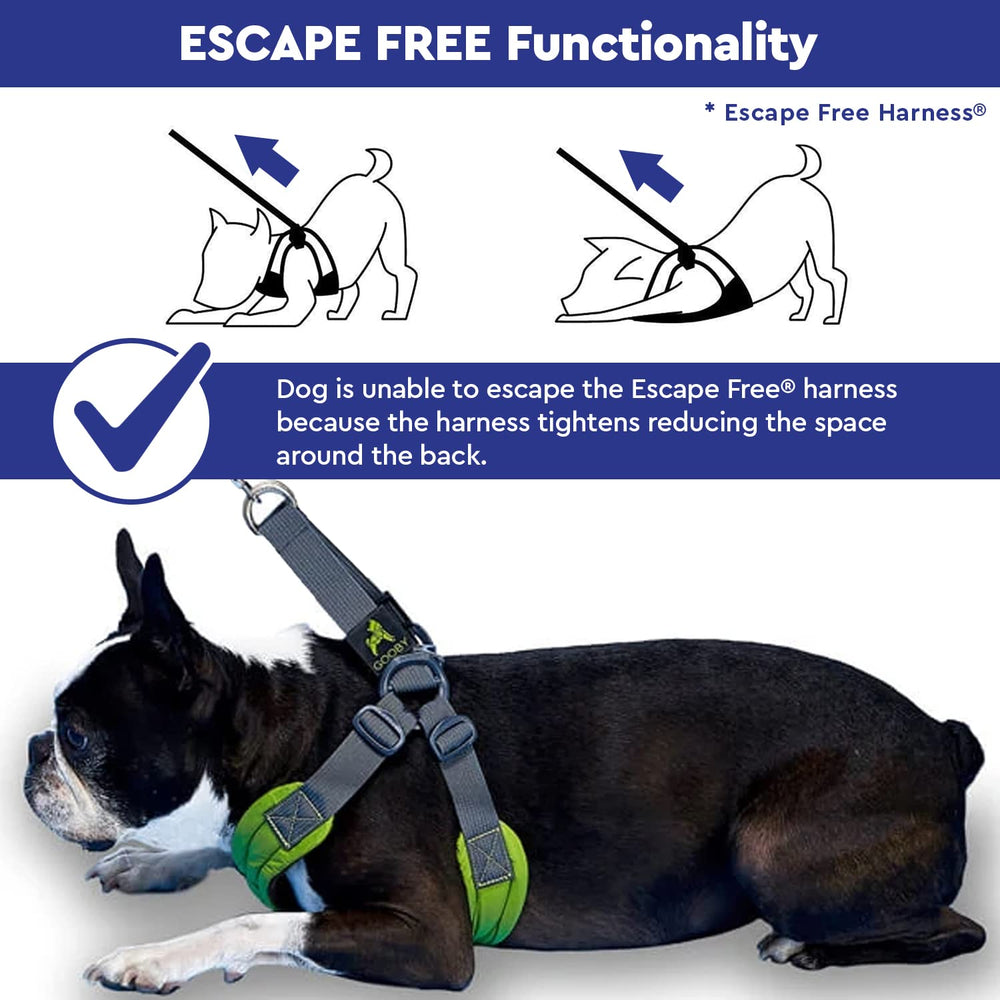 Gooby harnais comparaison taille sur chien montrant ajustement