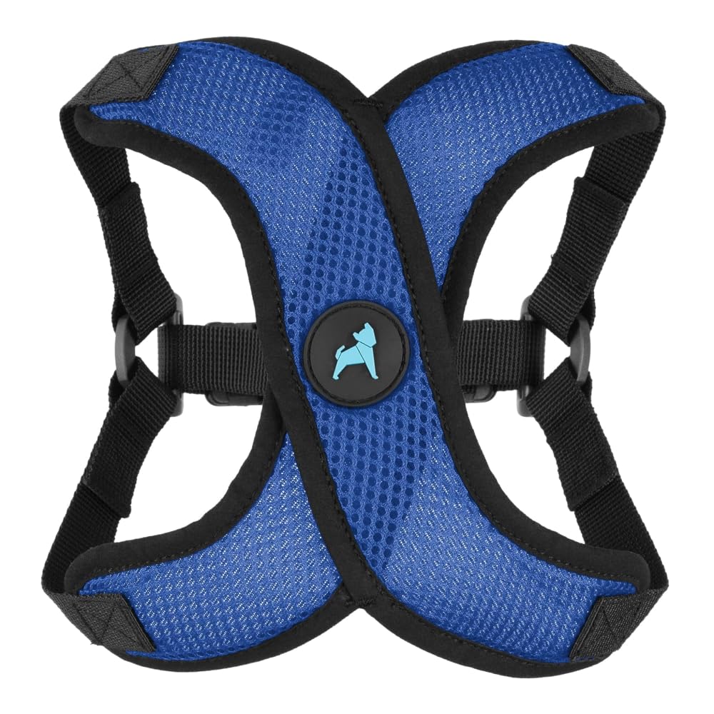 Gooby harnais Comfort X vue avant bleu montrant ajustement confortable