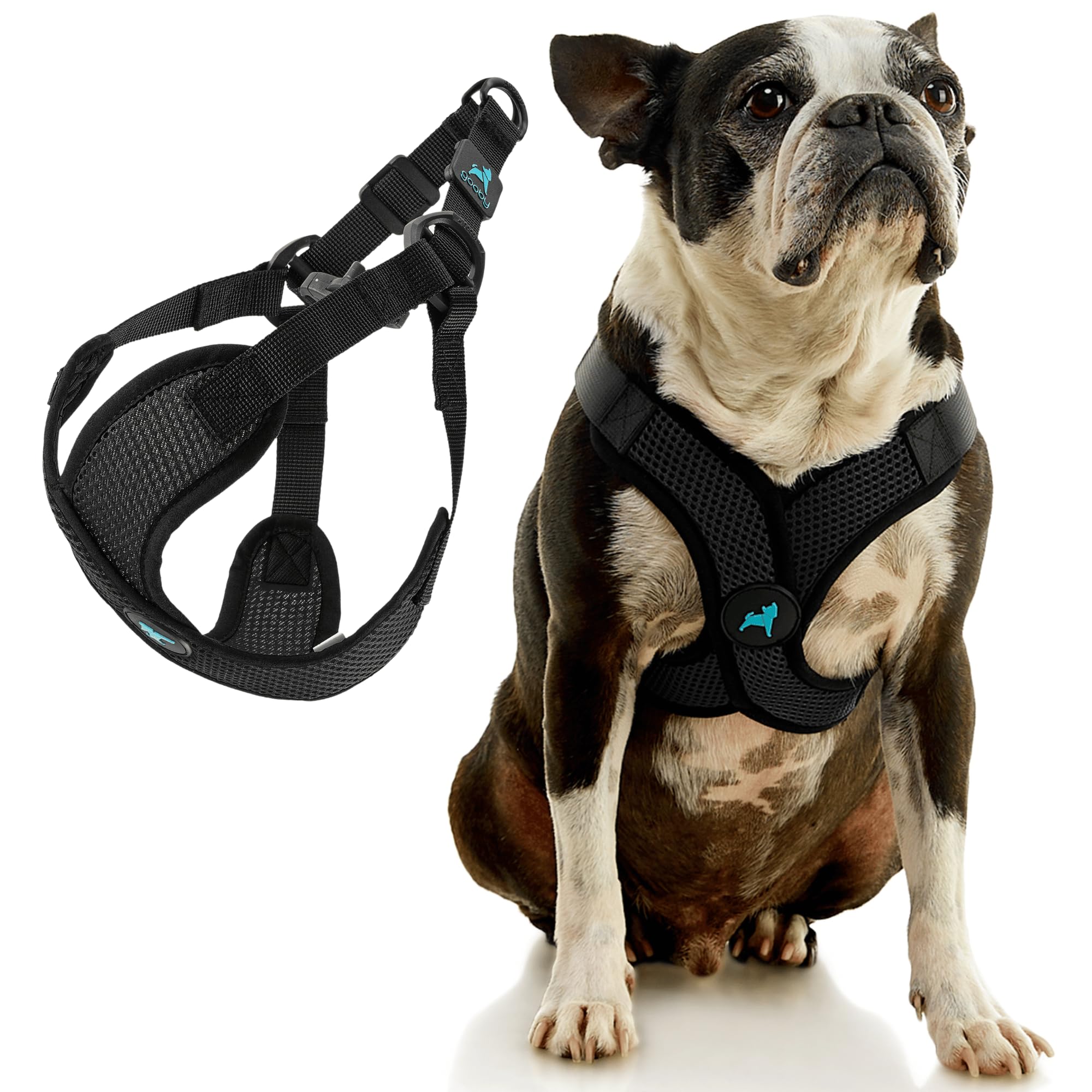 Gooby harnais en usage sur chien offrant maintien sécurisé lors promenade