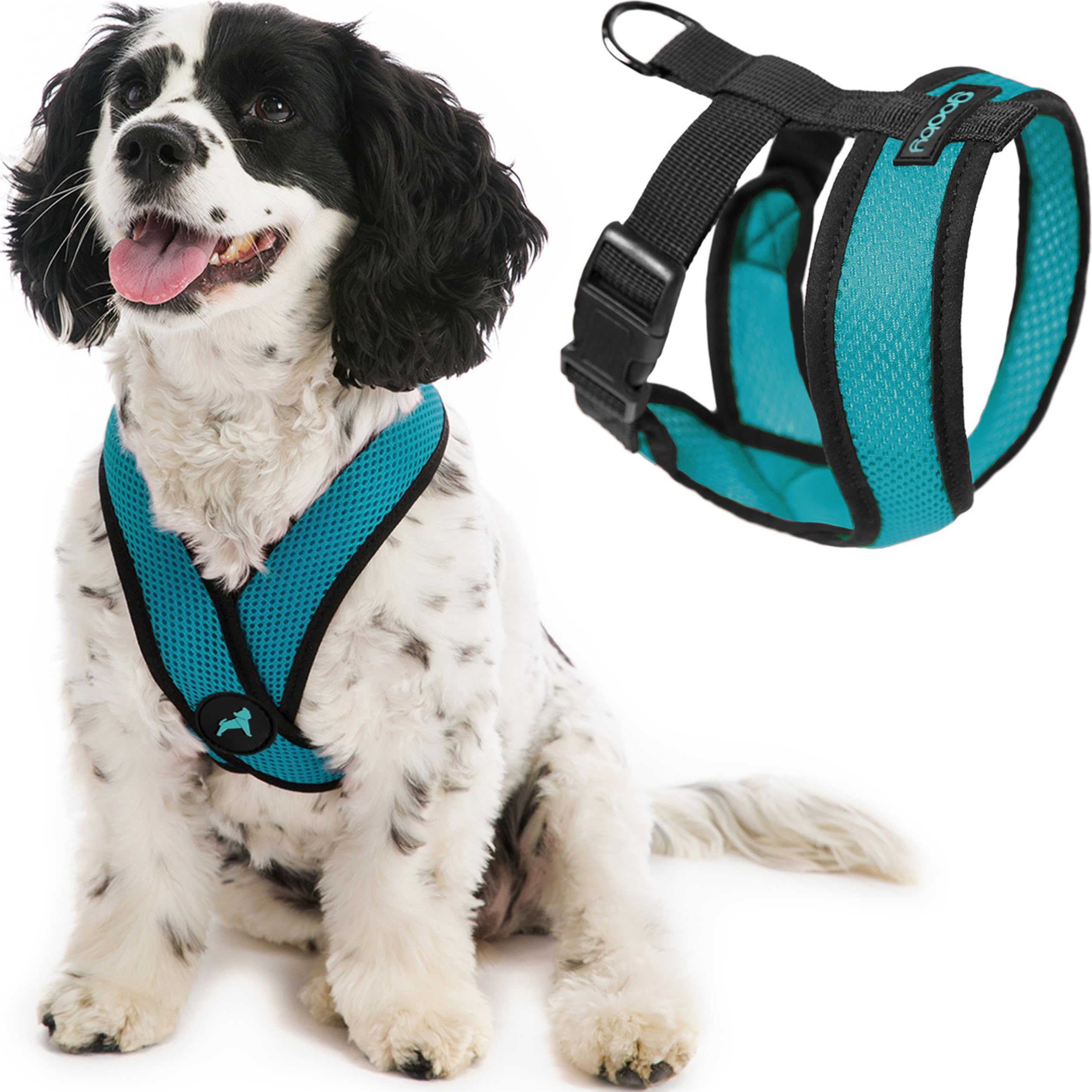 Gooby harnais devant packaging montrant design turquoise et facilité d'enfilage
