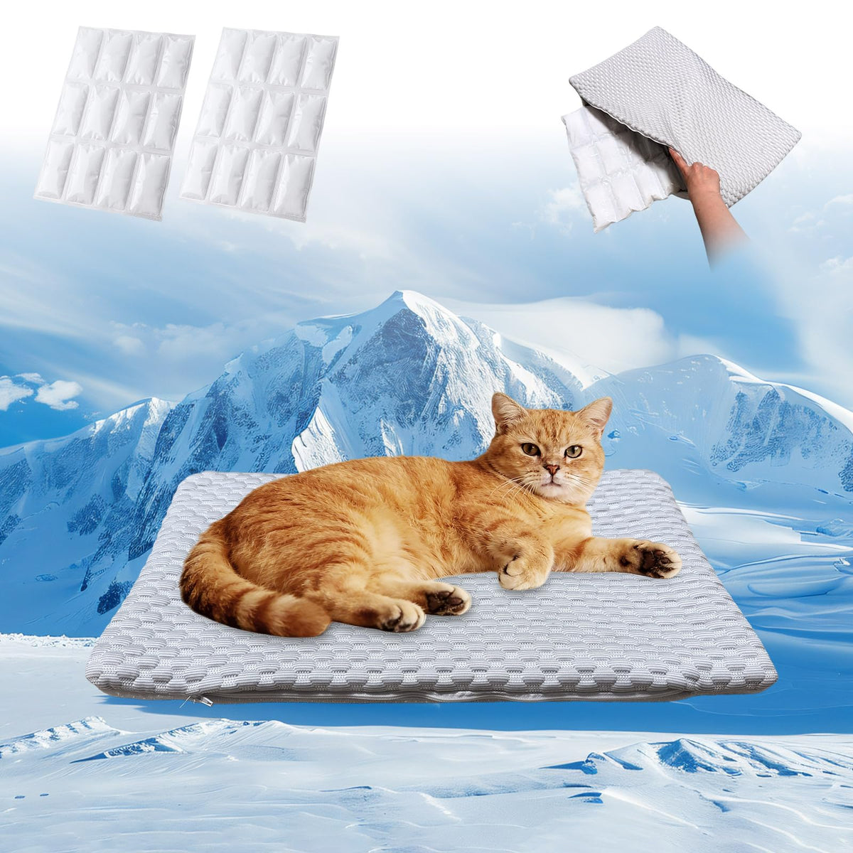 GooCare tapis devant emballage montrant une option compacte et pratique
