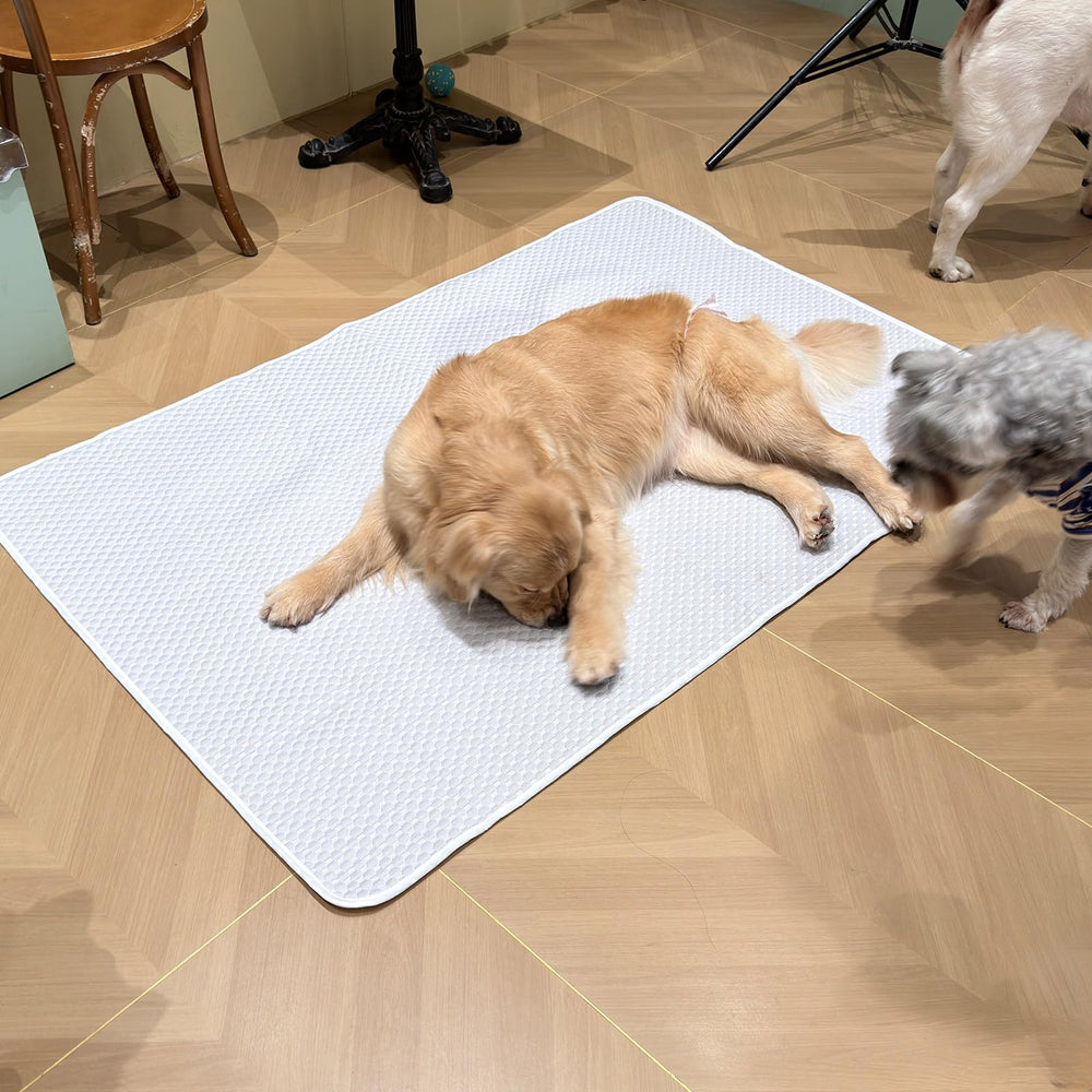 GooCare tapis plié pour rangement léger et transport facile