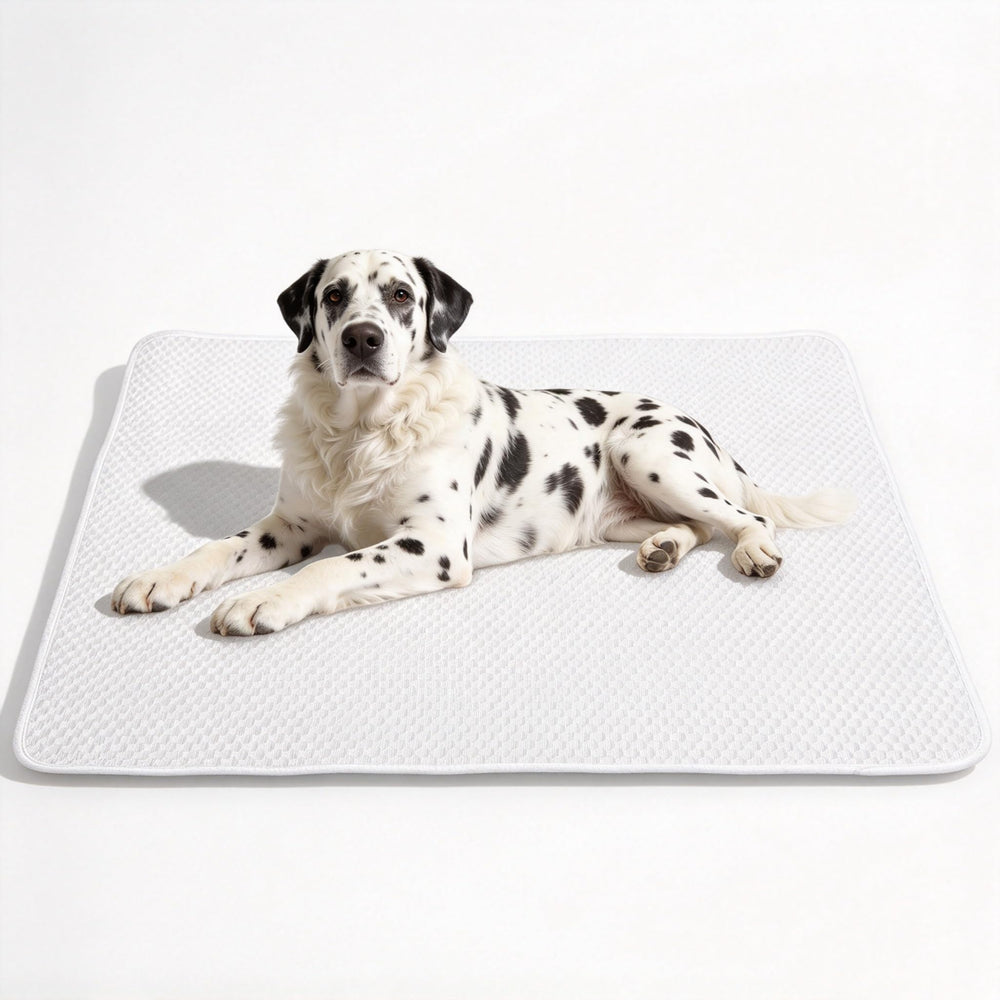 GooCare tapis XL face avant montrant surface fraîche et grande taille
