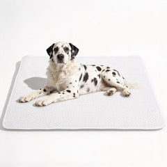 GooCare tapis XL face avant montrant surface fraîche et grande taille