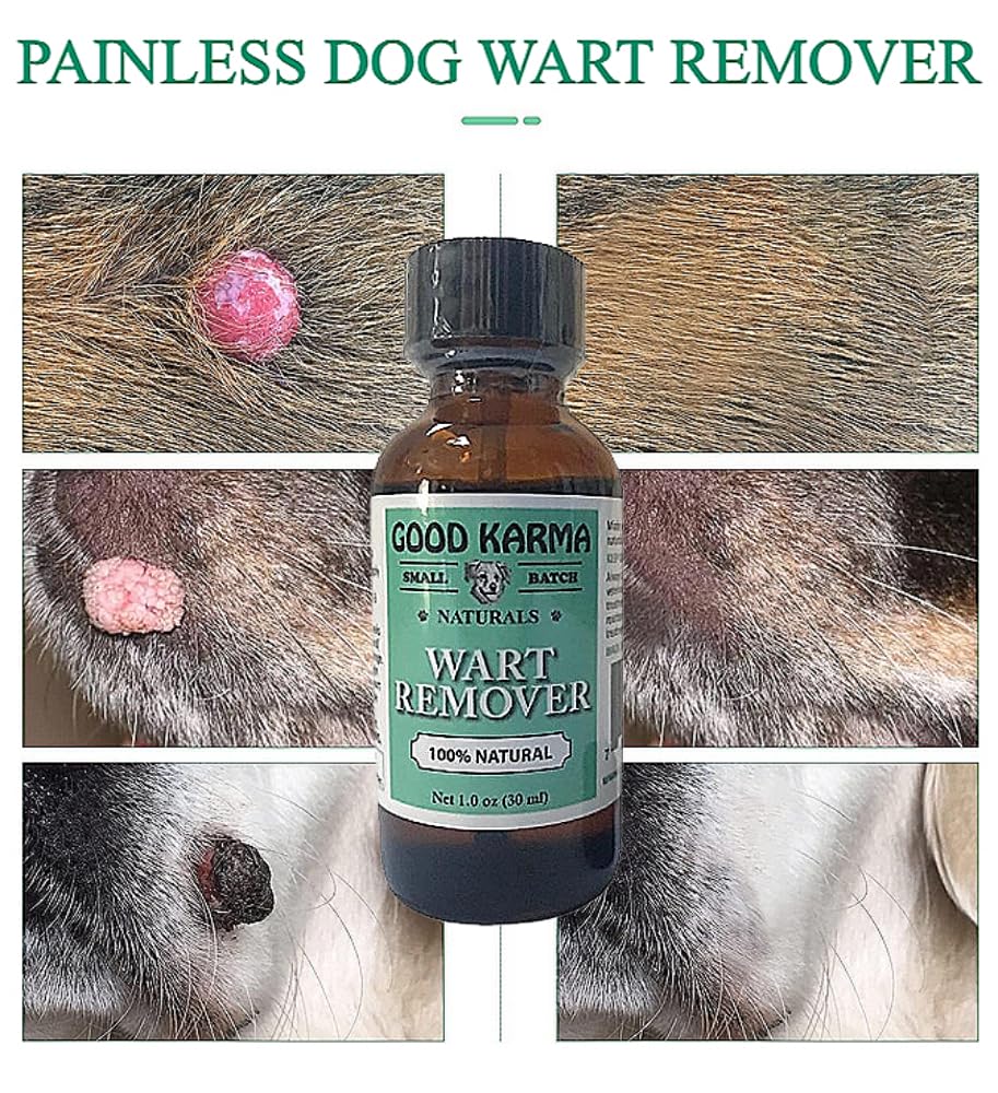 Good Karma Naturals bouchon pinceau en gros plan, applicateur précis et pratique