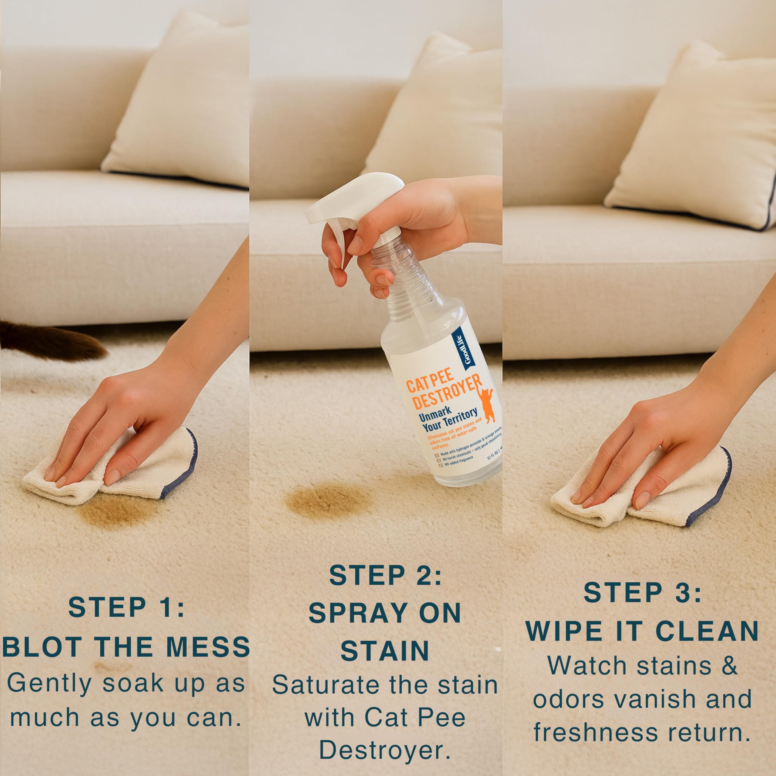 Good Life Solutions pulvérisation sur tapis éliminant taches et odeurs