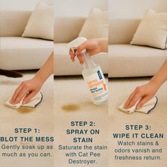 Good Life Solutions pulvérisation sur tapis éliminant taches et odeurs