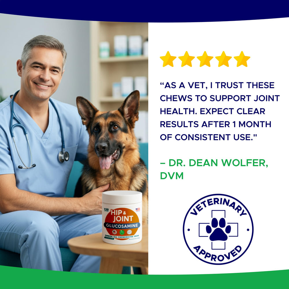 GOODGROWLIES chien mange une friandise améliorant l'administration quotidienne