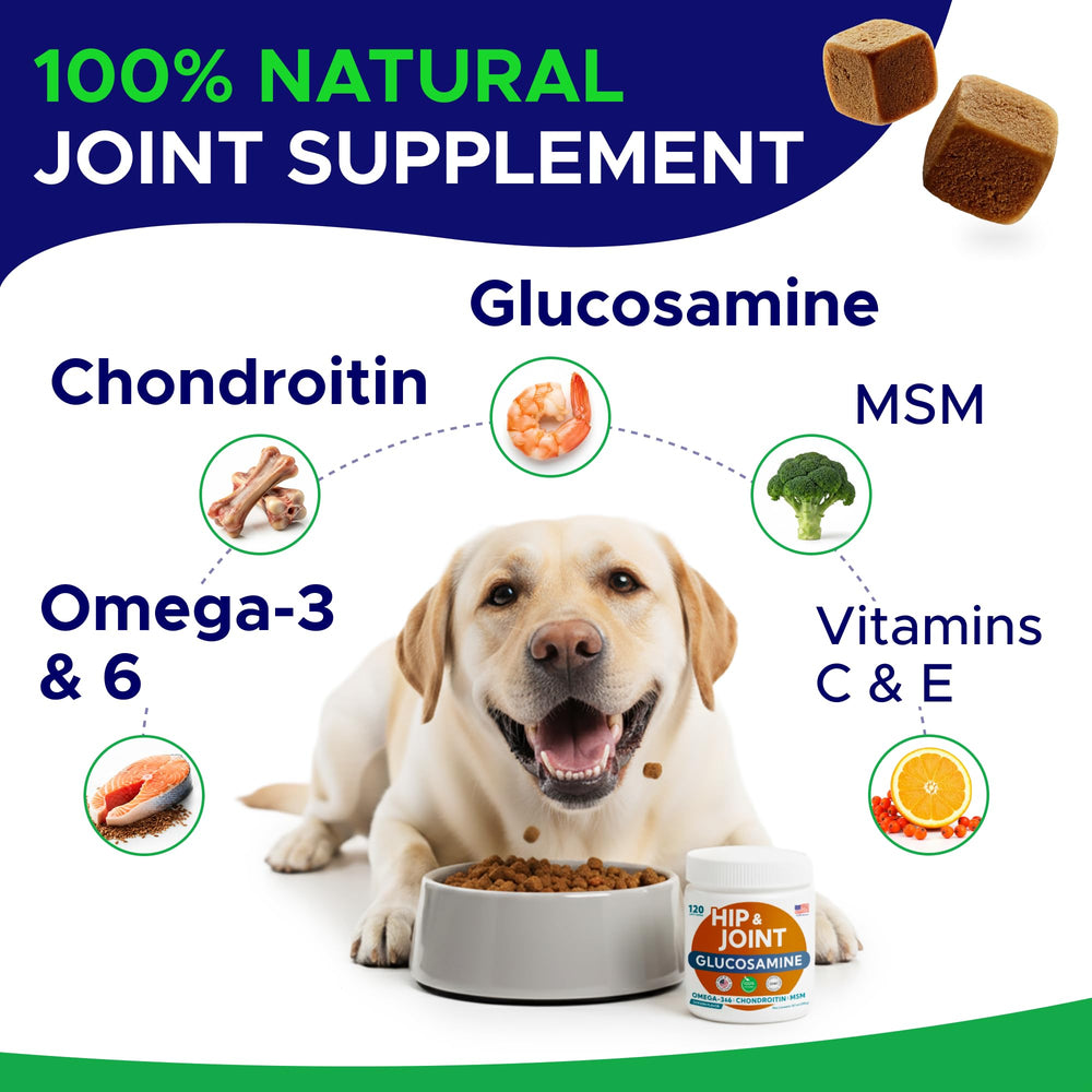 GOODGROWLIES détail de texture des chews, mastication facilitée pour confort