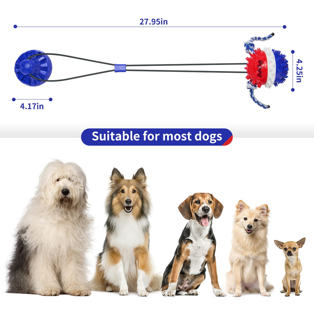 gootosee comparaison taille avec une main pour estimer dimensions réelles