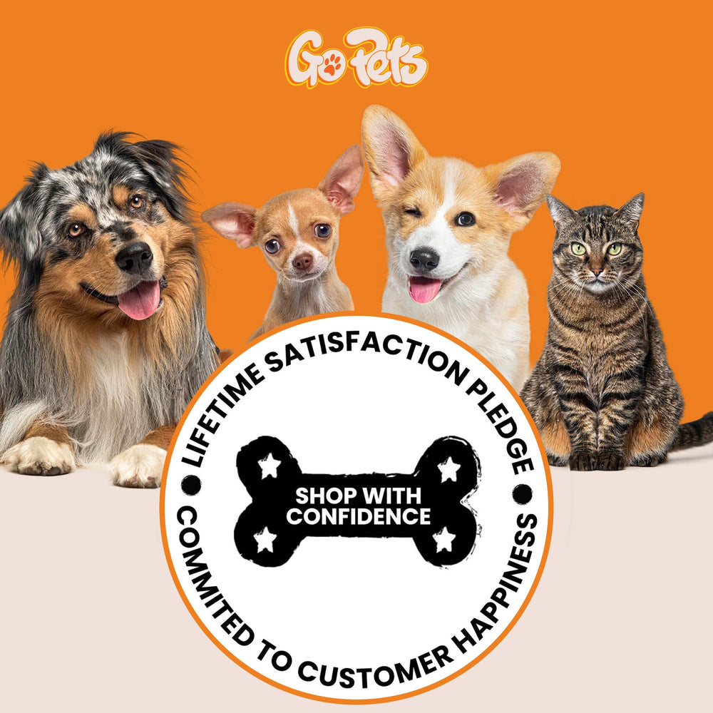 GoPets brosse à côté d'une main pour montrer taille pratique