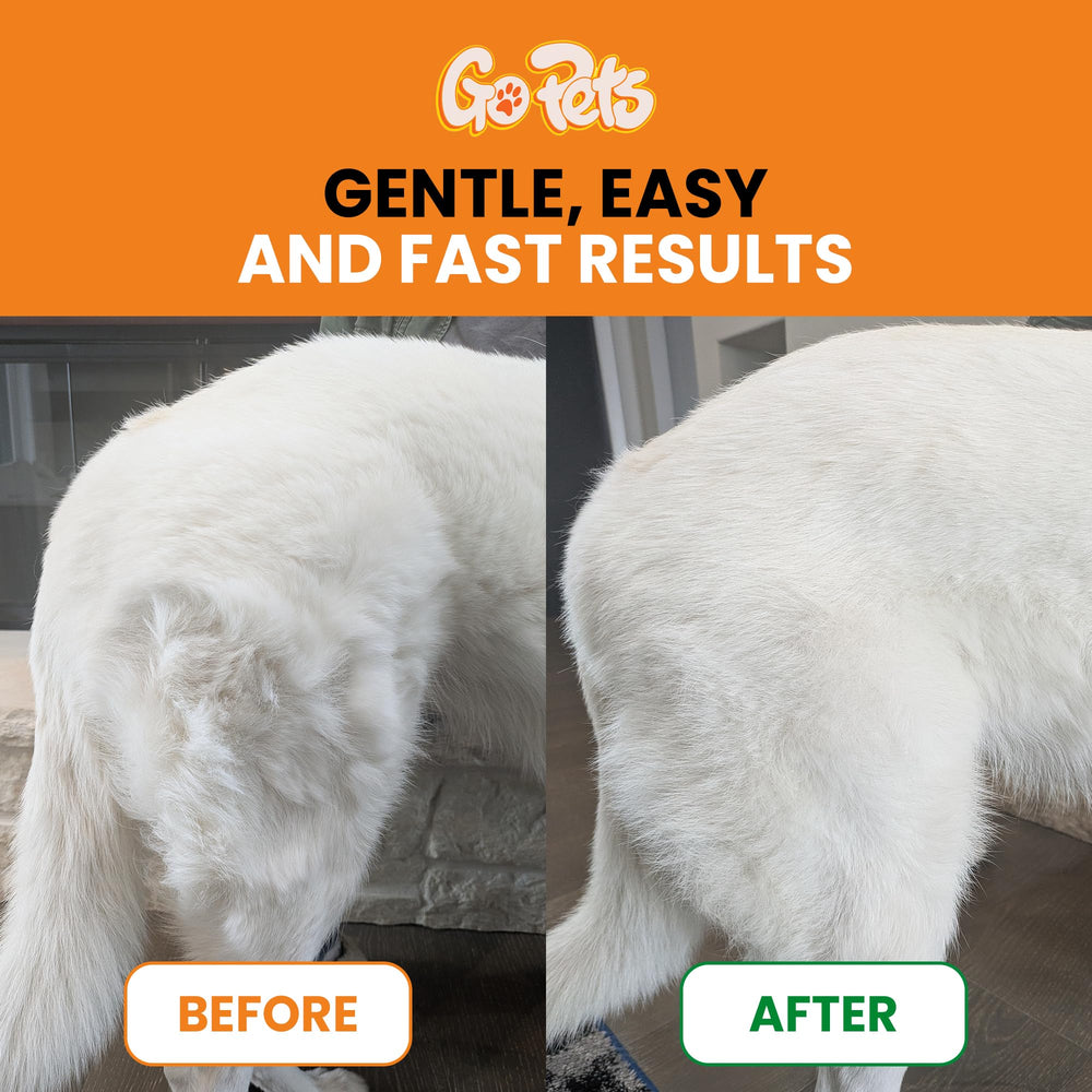 GoPets gros plan sur picots montrant précision et confort