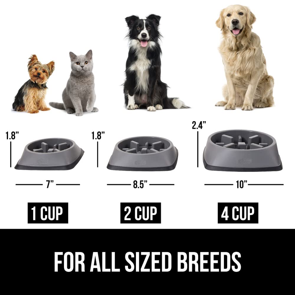 GORILLA GRIP comparaison taille 4 cups pour portion adaptée et visible