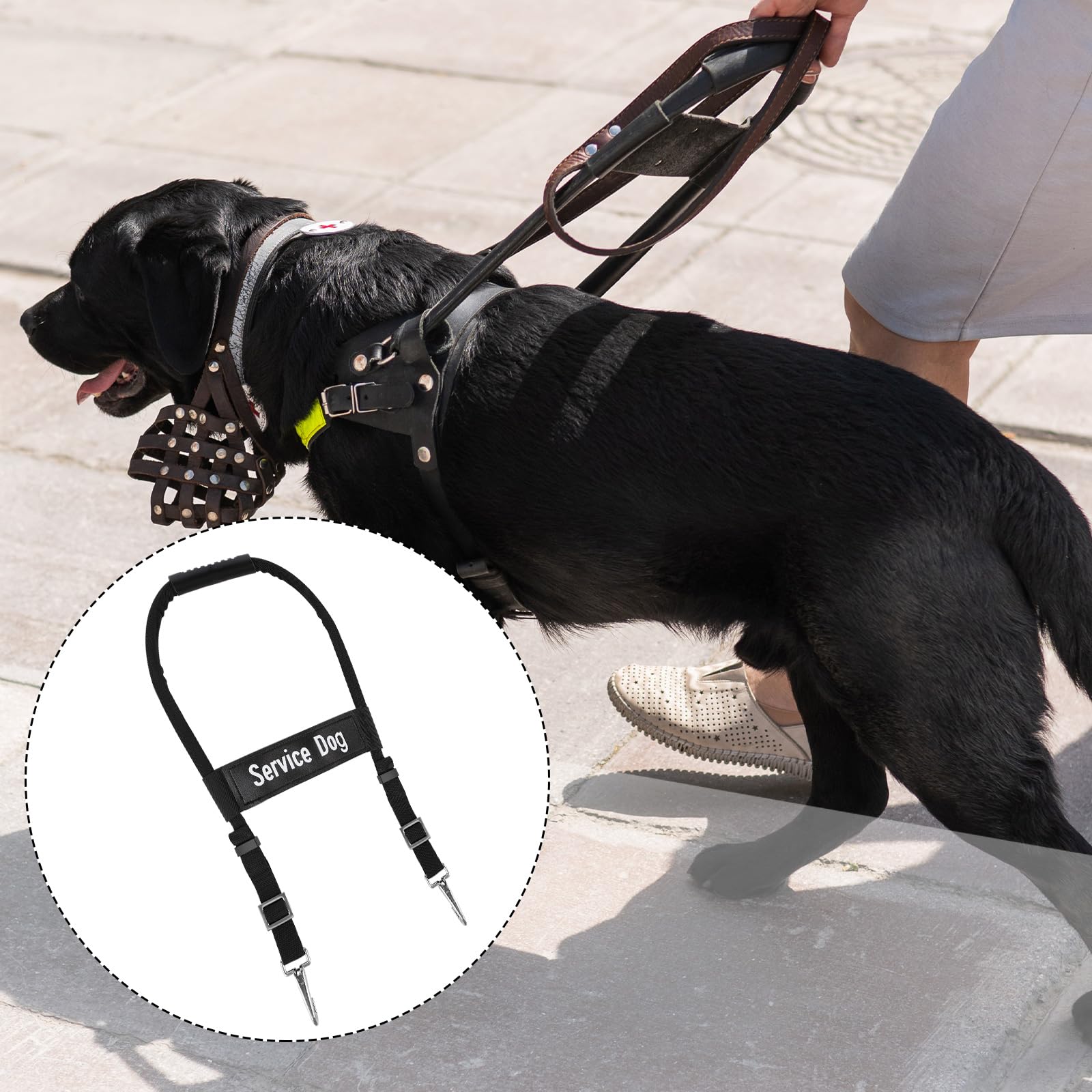 Gosknor scène lifestyle maître guidant chien d'assistance