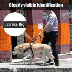 Gosknor poignée en usage guidant un chien avec confort