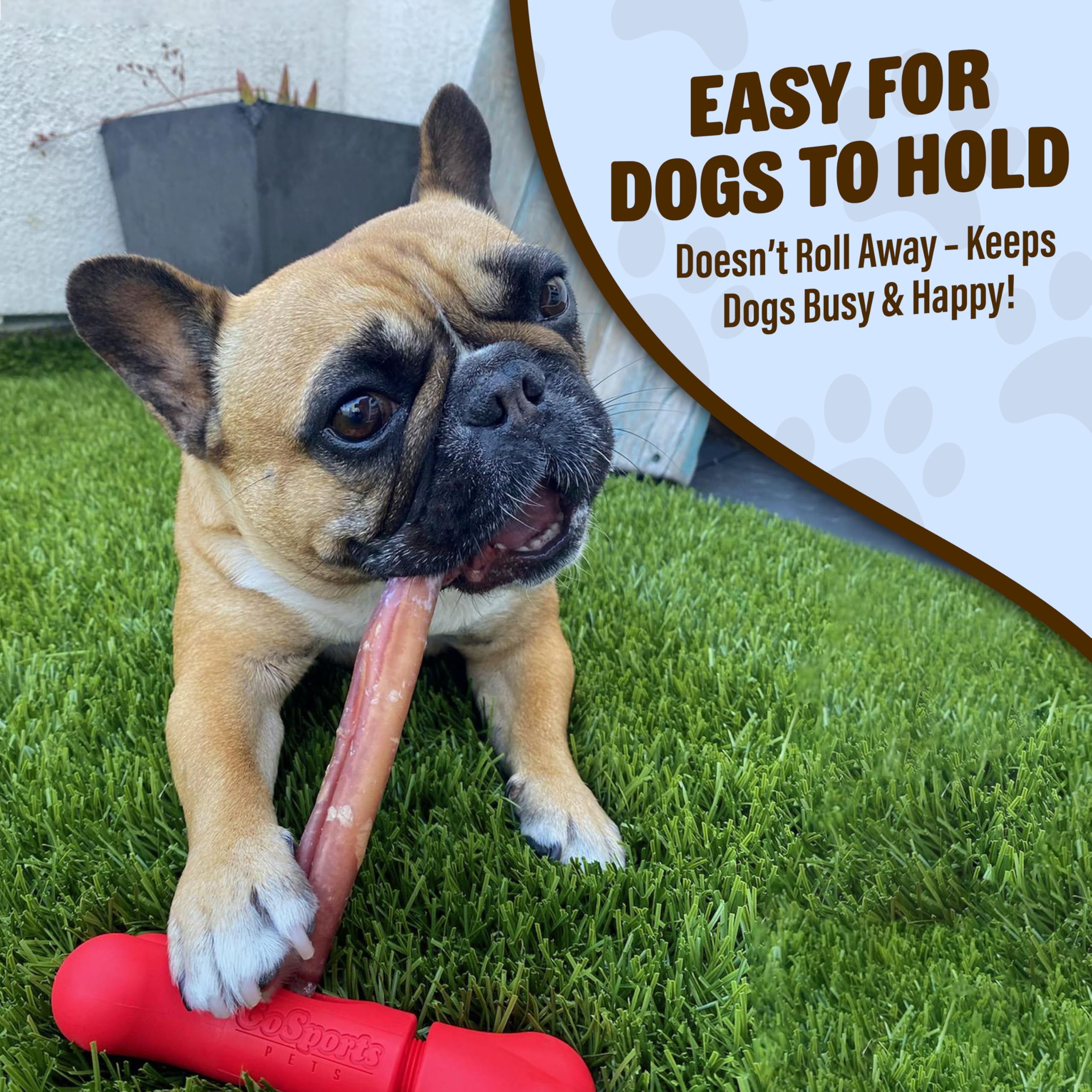 GoSports Chew Champ comparaison taille pour petits chiens