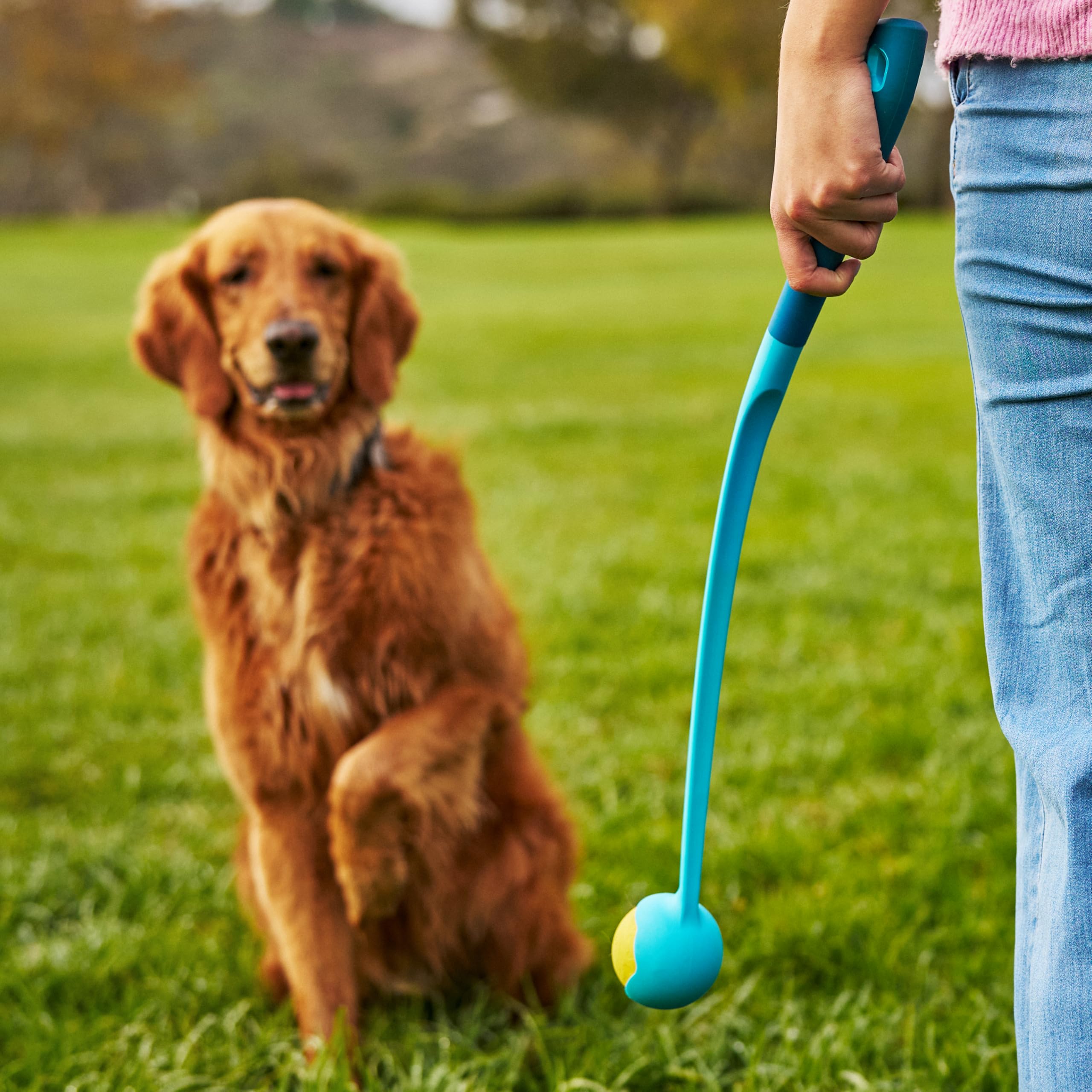 GoSports Pets contenu du pack avec les deux balles et le lanceur visible