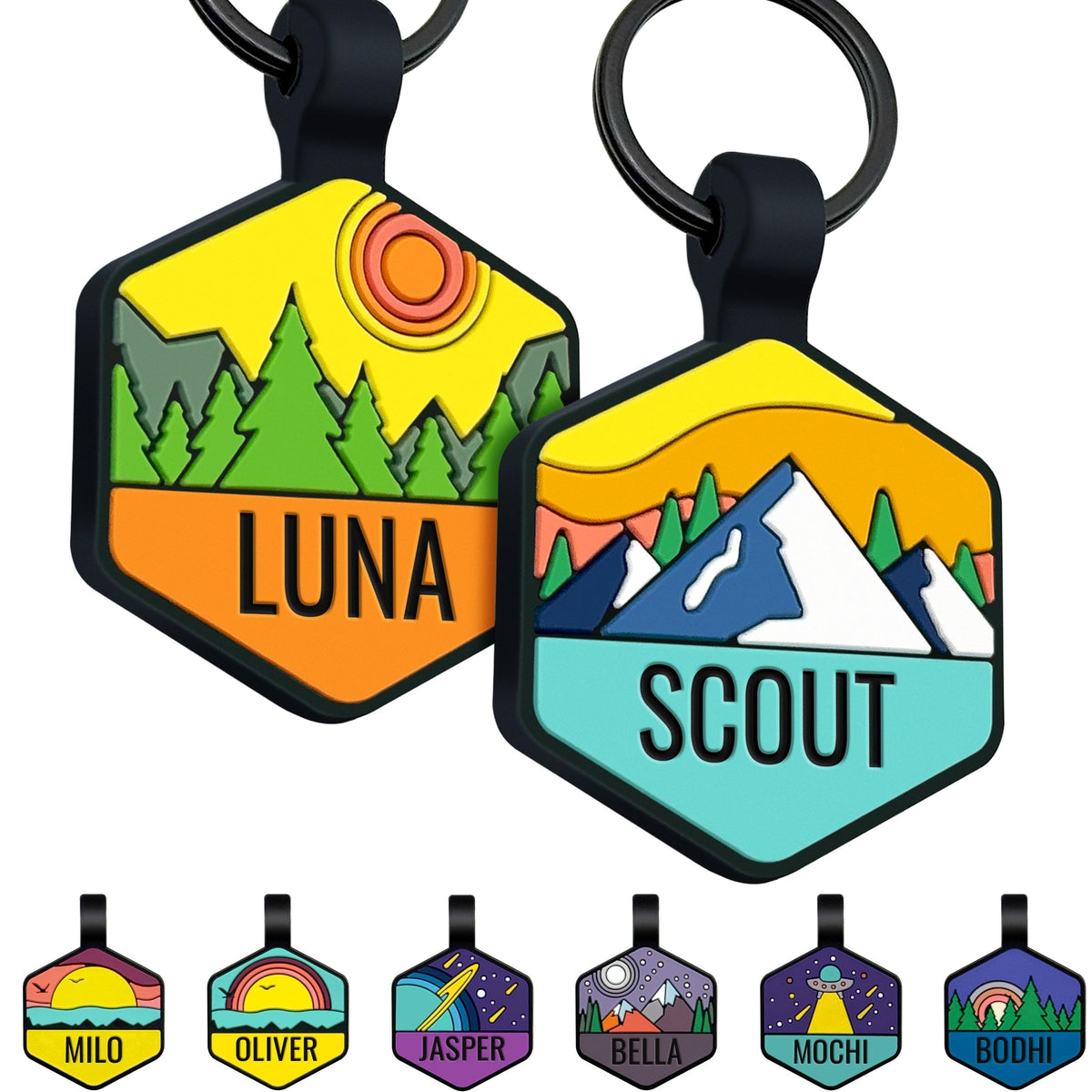 GoTags médaille hexagone avant lisible, identification claire et calme
