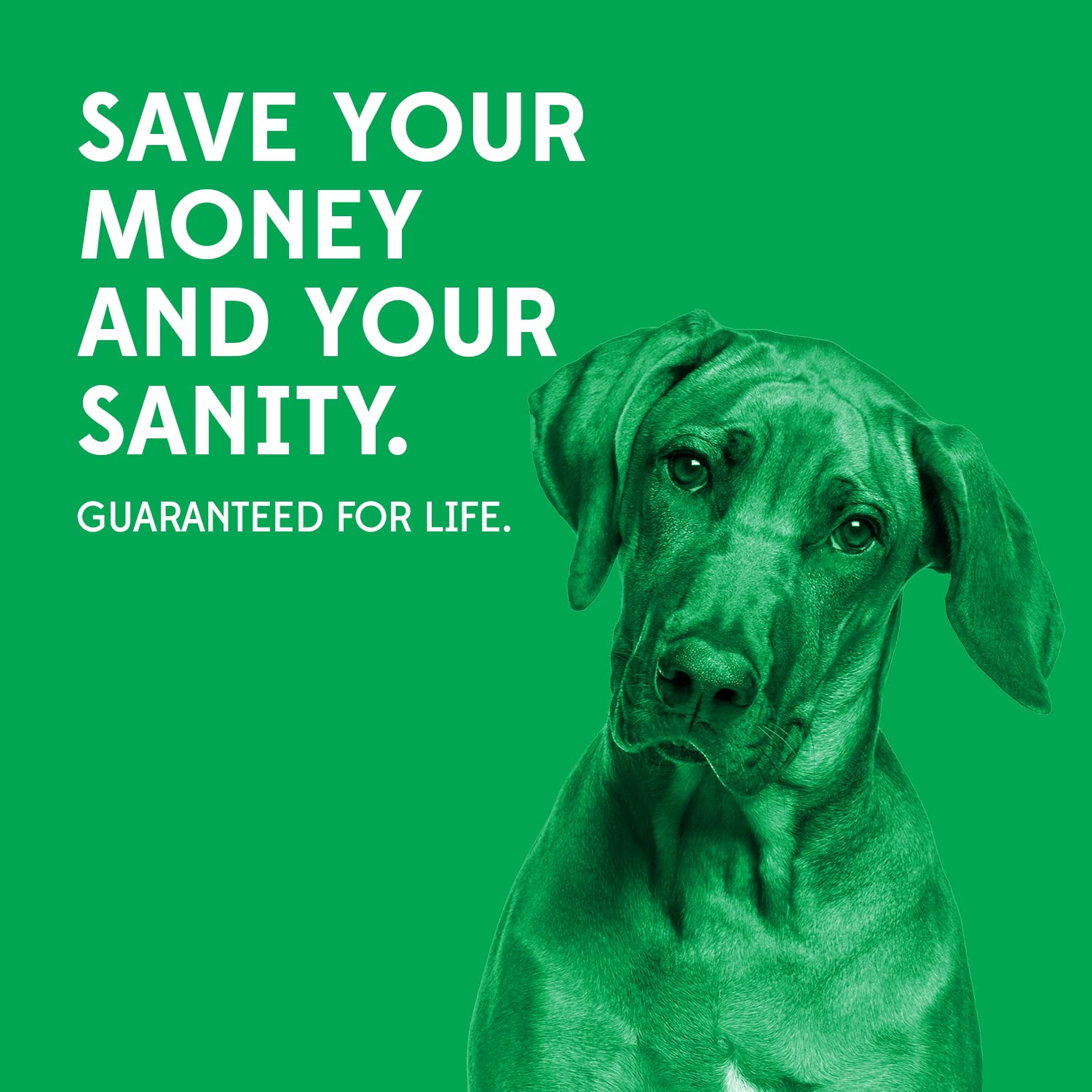 Goughnuts anneau en usage avec chien affichant engagement et sécurité
