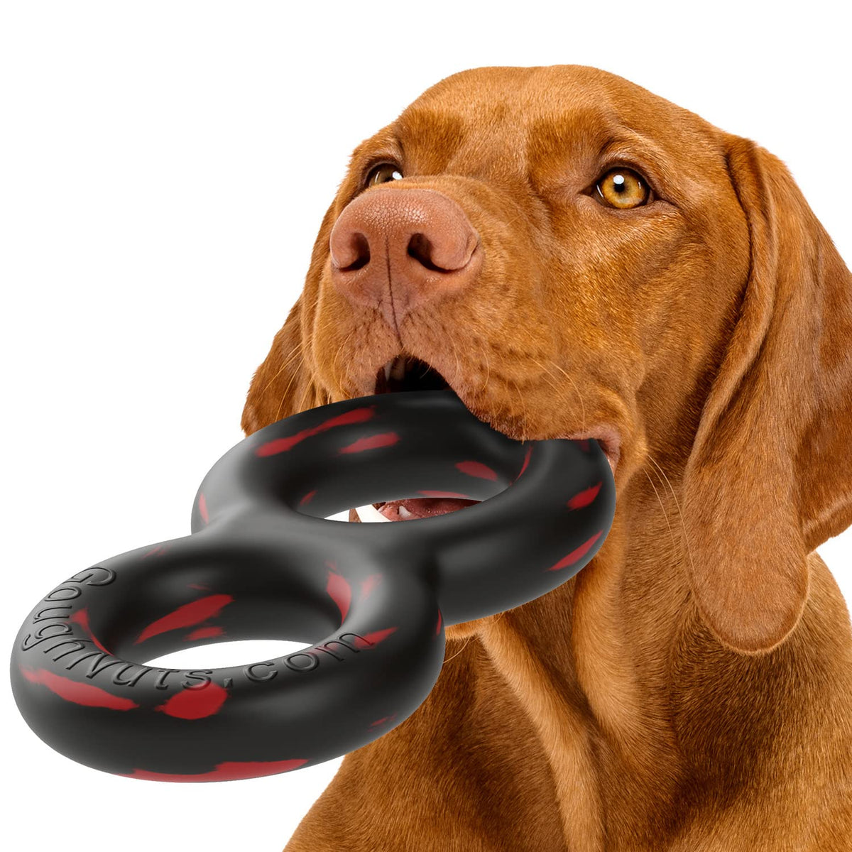 Goughnuts face avant montrant le jouet robuste et durable pour jeux actifs