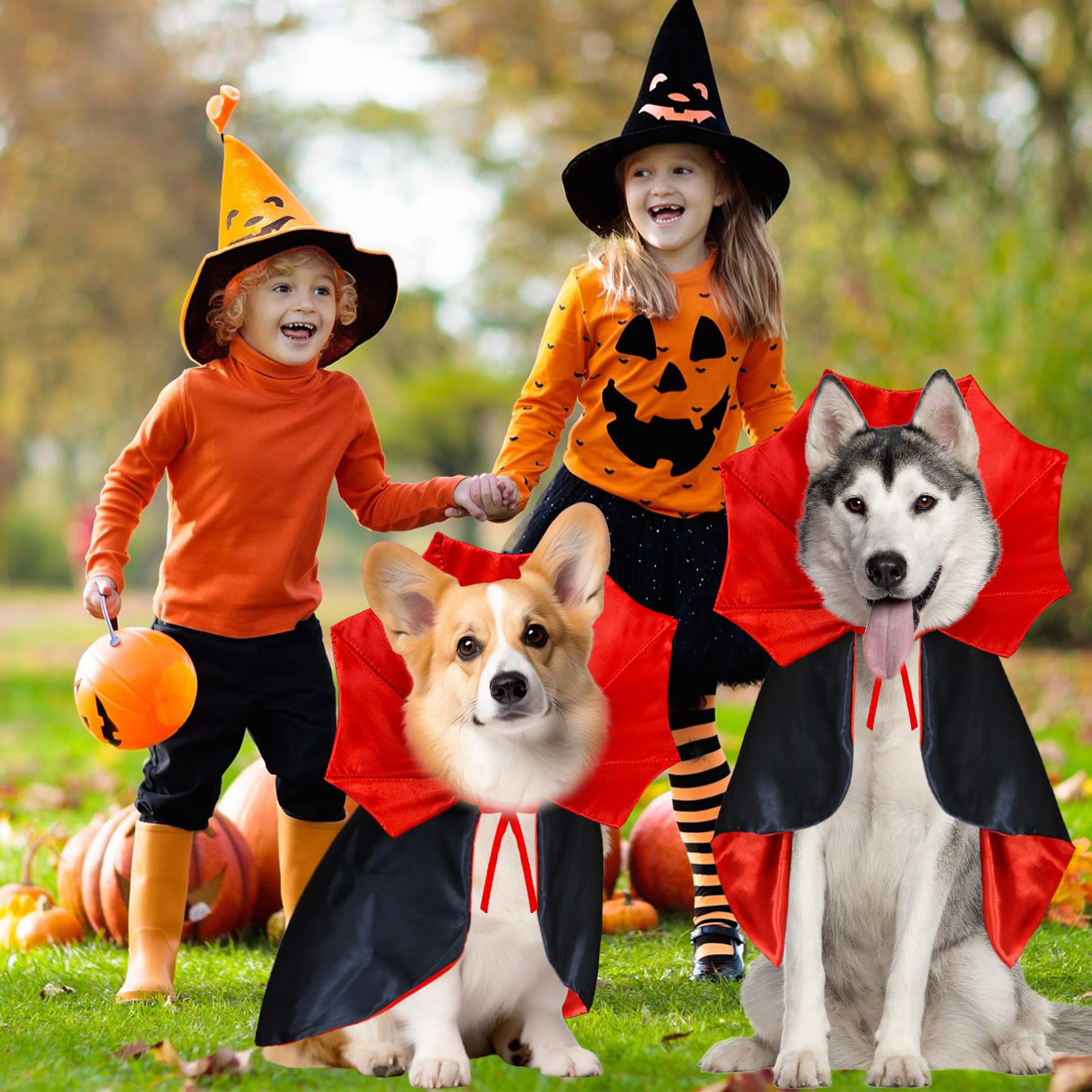GOYOSWA mise en scène Halloween créant ambiance festive