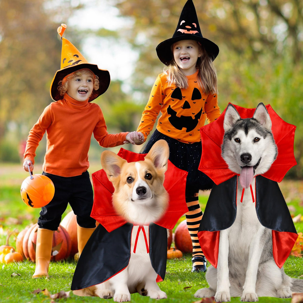 GOYOSWA mise en scène Halloween créant ambiance festive