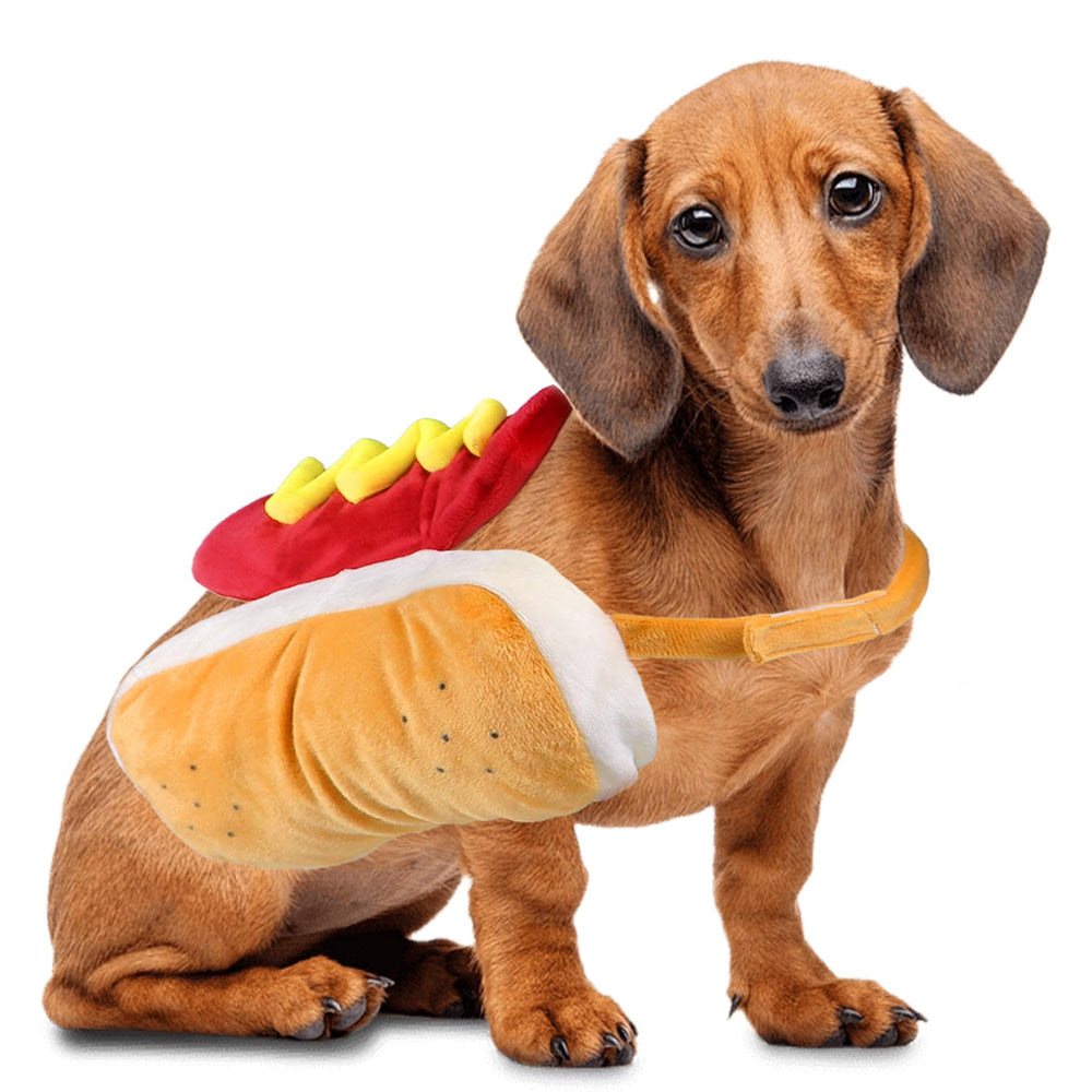 GOYOSWA vue avant du costume hot dog, design amusant pour photos