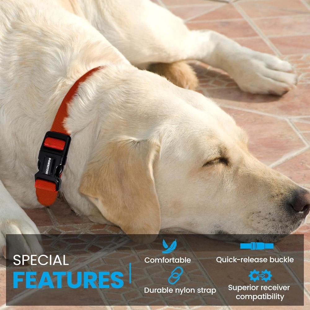 Sangle Gracie To The Rescue ajustée sur un petit chien pour tenue confortable