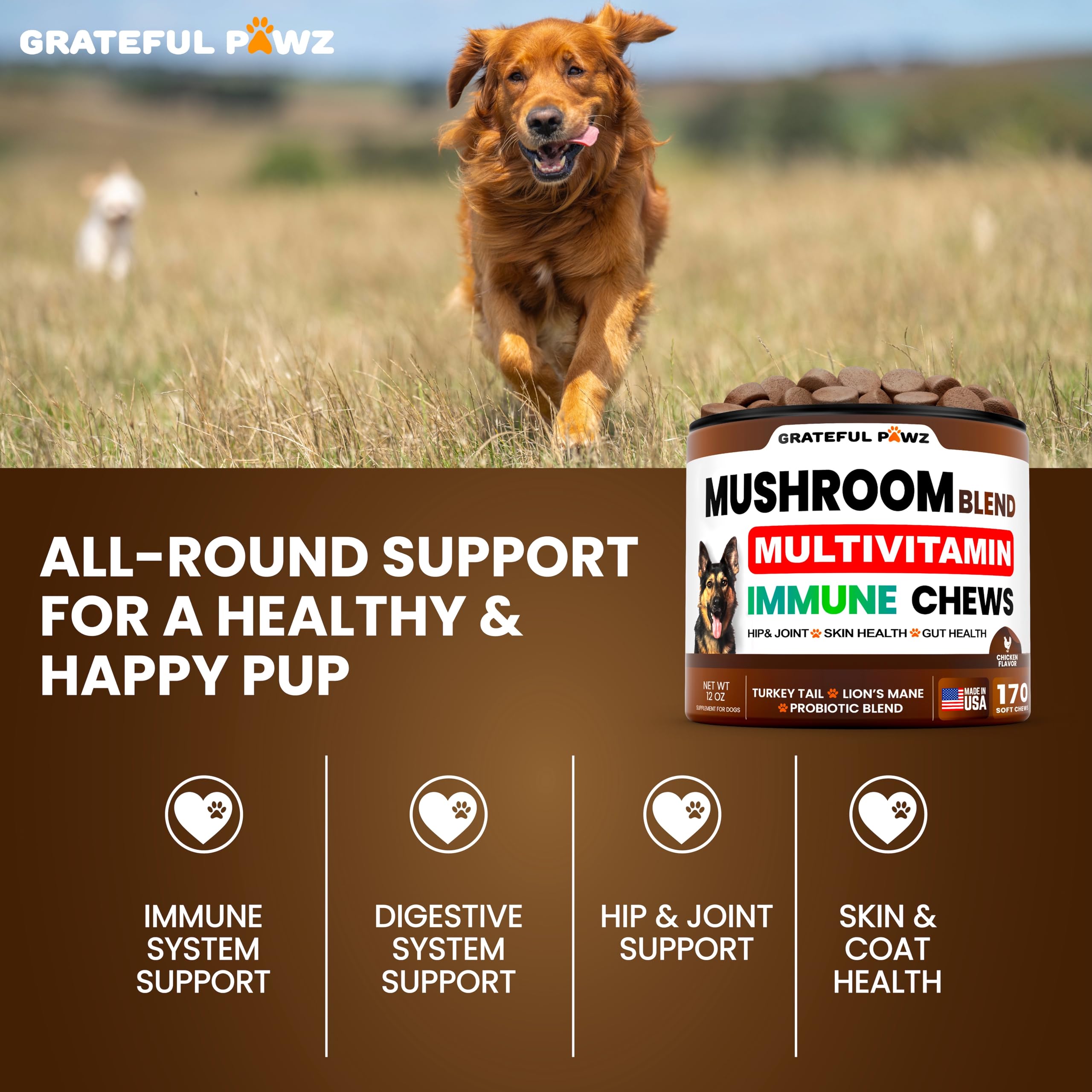 Grateful Pawz comparaison taille mastic avec pièce, visualisation du format pour dosage