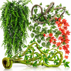 Grddaef vue frontale du pack de vignes pour terrarium apportant support d'escalade