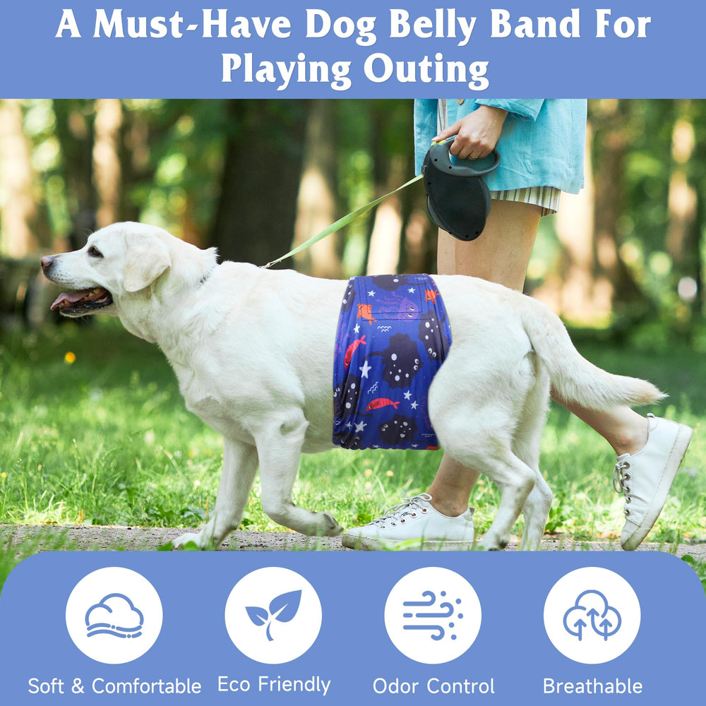 Grecle bande-culotte portée sur chien montrant protection efficace