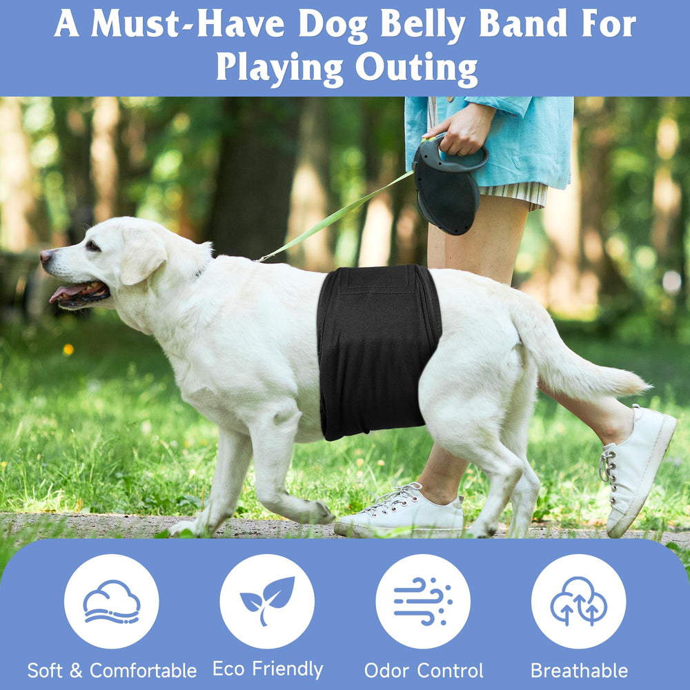 Grecle ceinture portée sur chien en mouvement, confort et liberté d'action