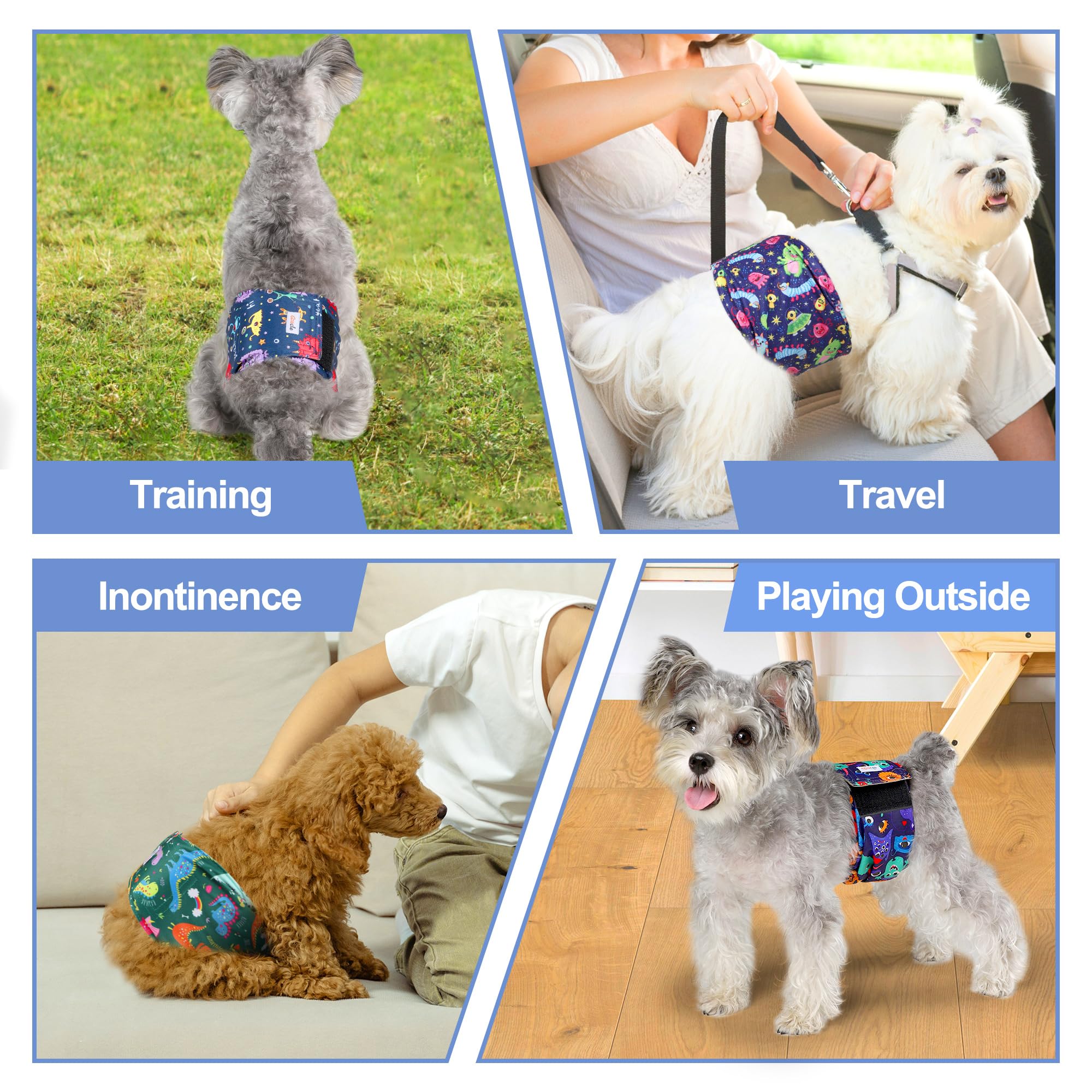 Grecle comparaison de la taille Small sur un chien montrant l'ajustement précis