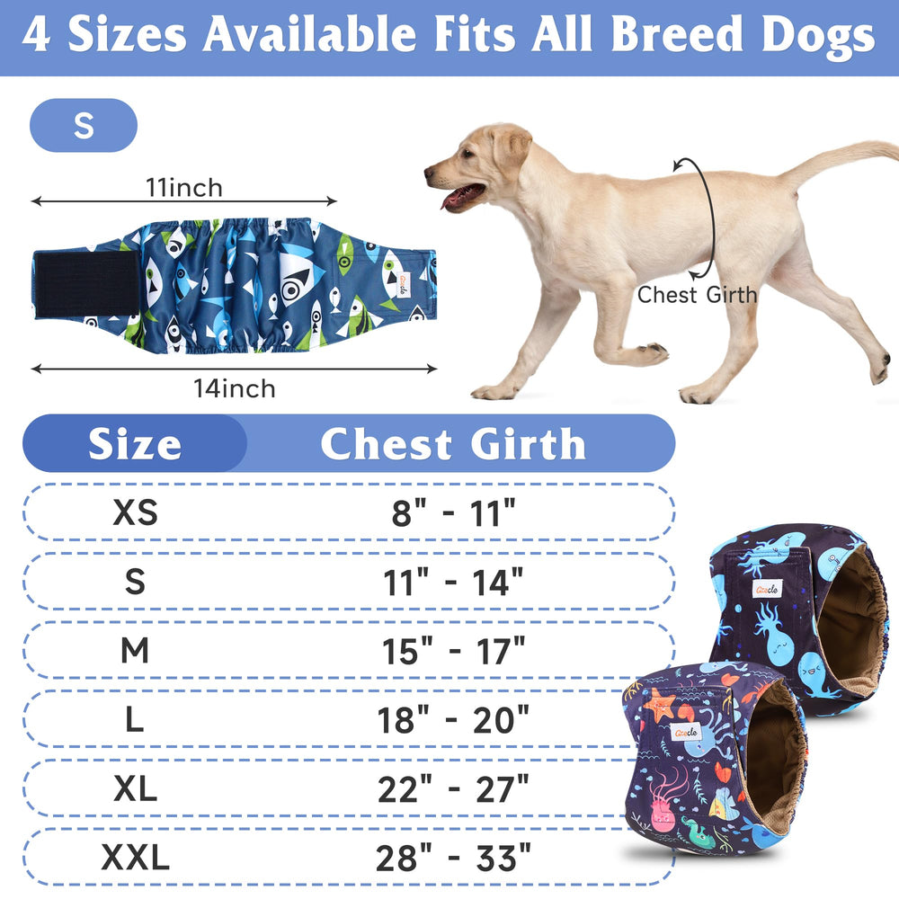 Grecle gros plan sur motif et tissu respirant, confort et style pour chien