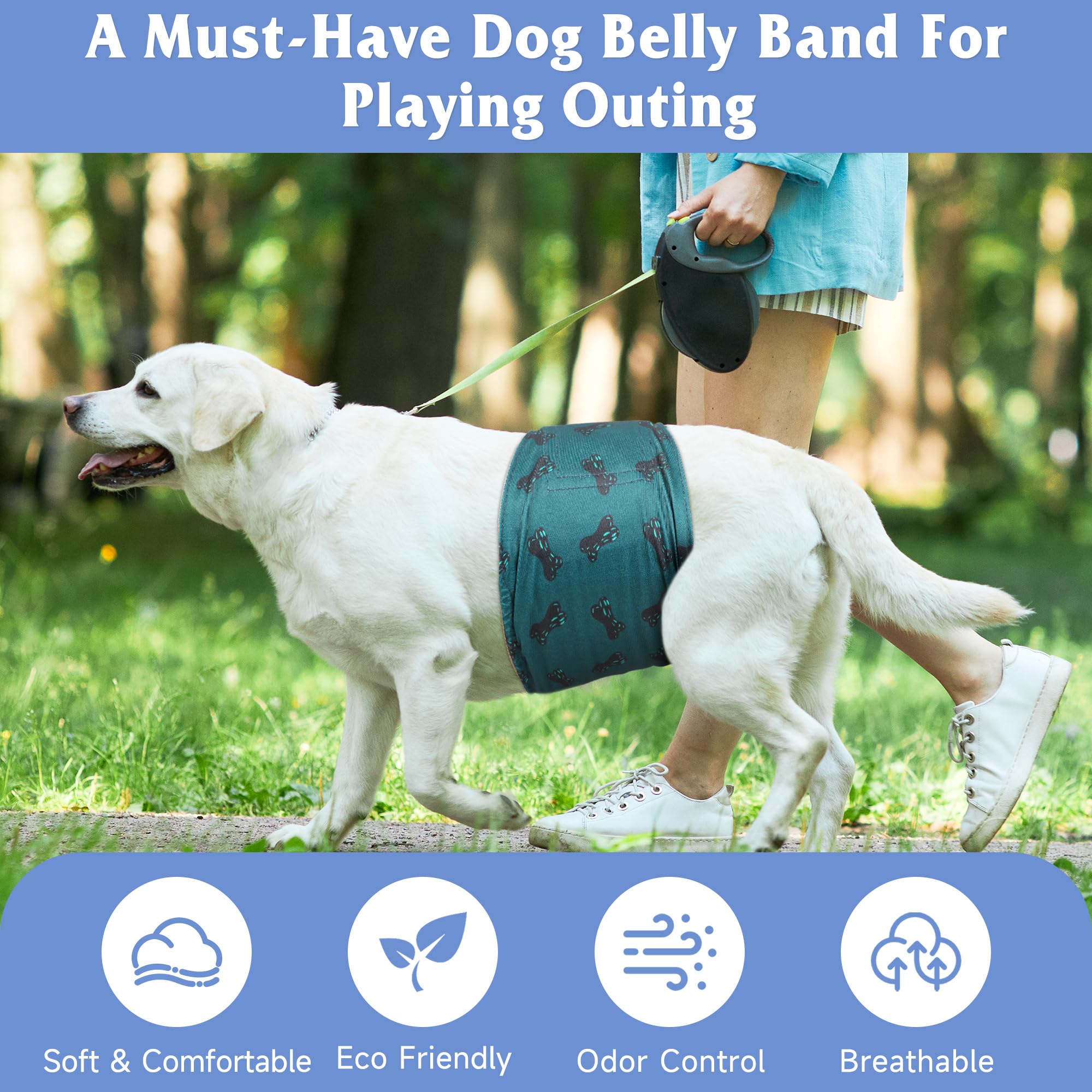 Grecle ceinture portée sur chien taille XS assurant maintien confortable