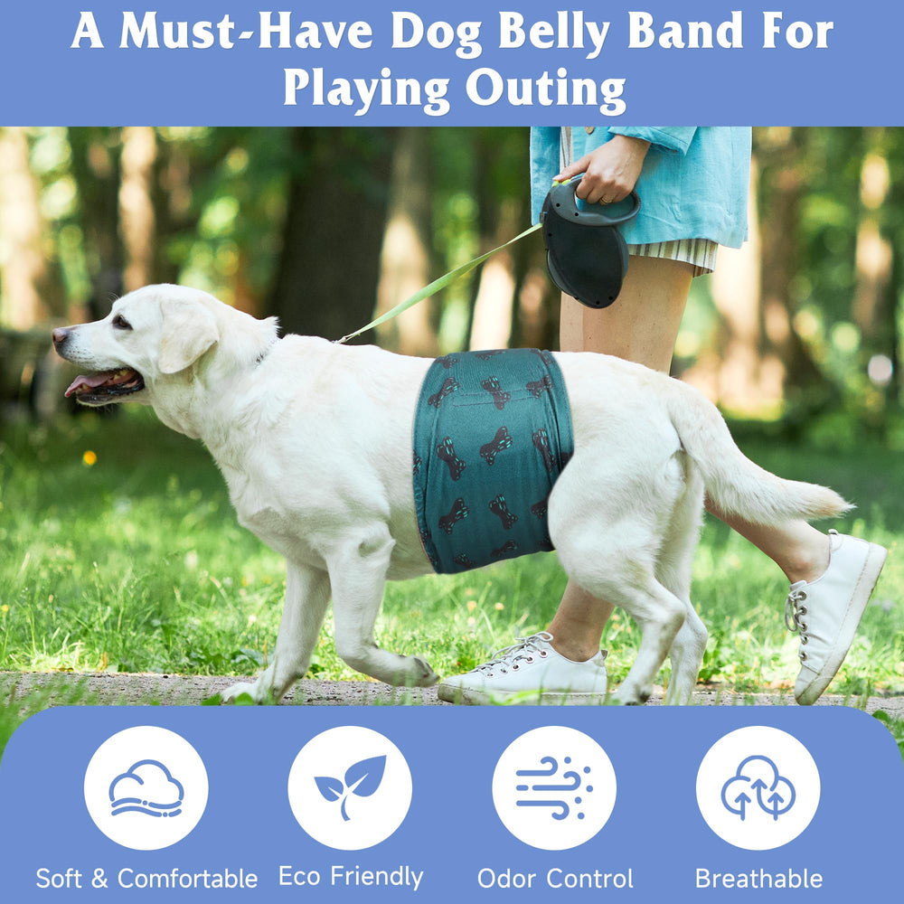 Grecle ceinture portée sur chien taille XS assurant maintien confortable