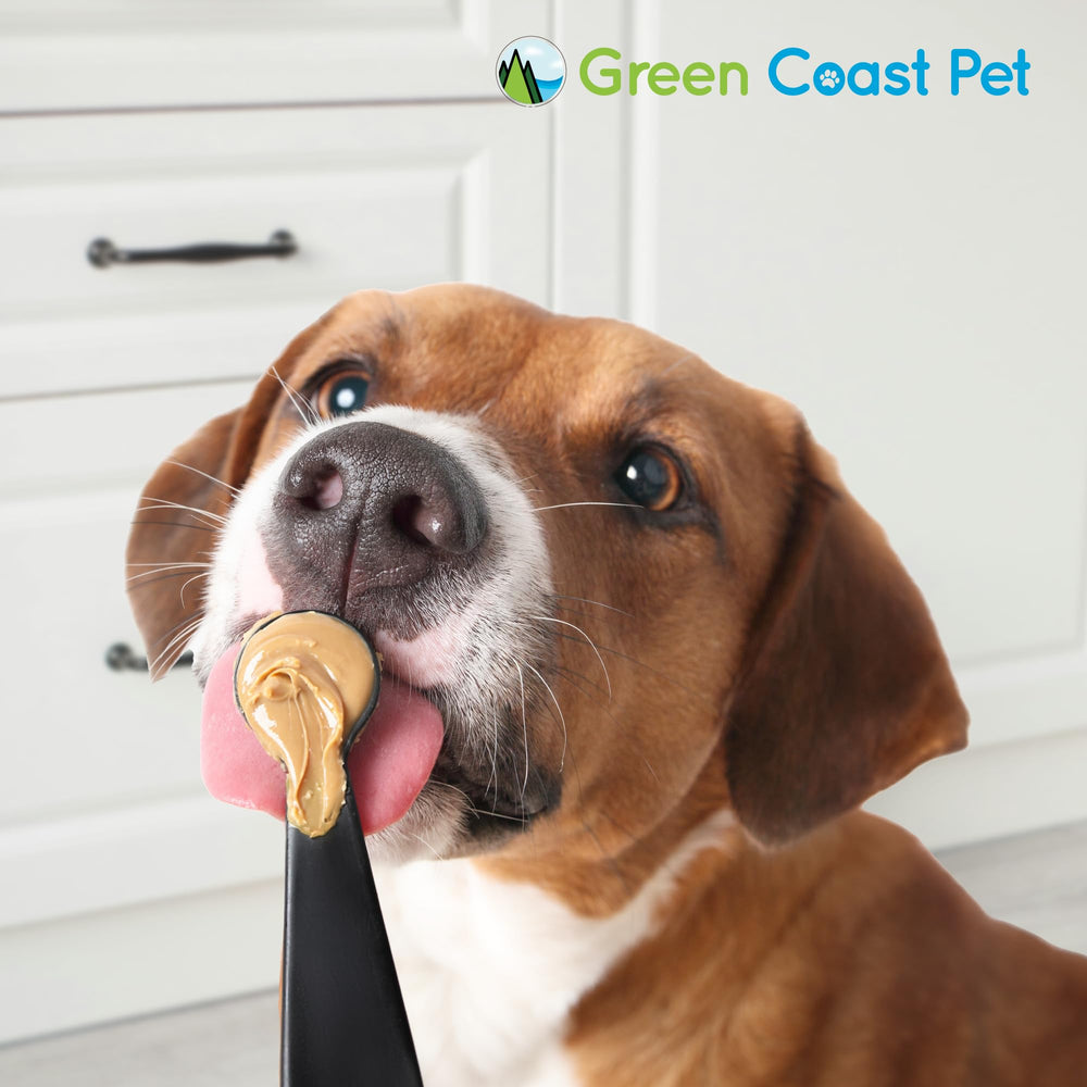 Green Coast Pet comparaison de taille avec une main, portion clairement visible