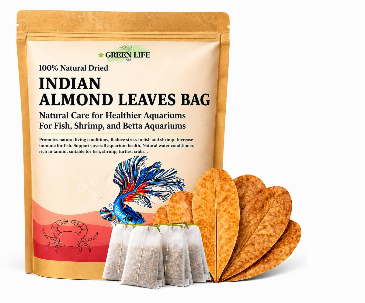 Green Life Org sachet de feuilles Catappa visible, emballage refermable pratique