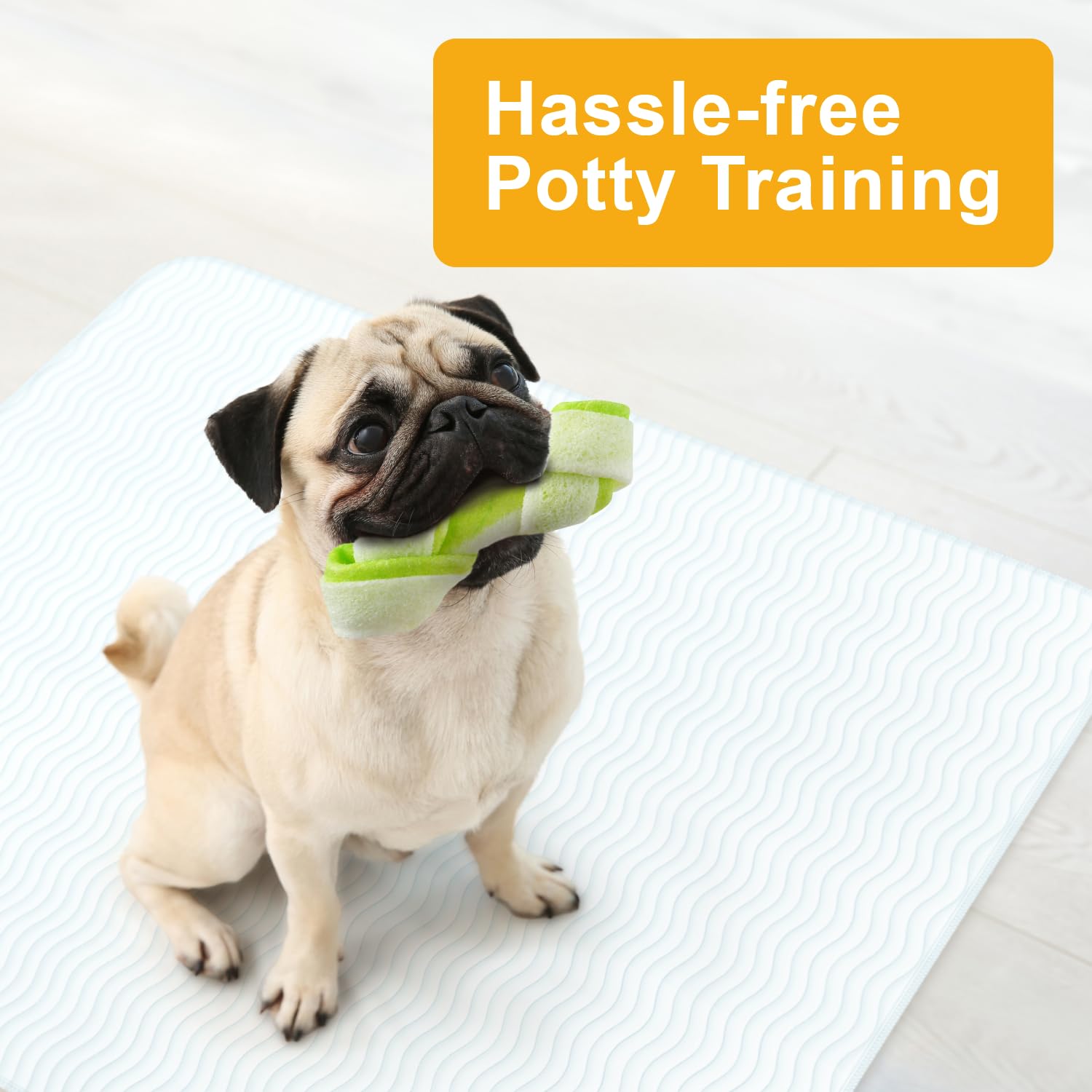 GREEN LIFESTYLE sous-couche utilisée pour un chiot améliorant l'entraînement