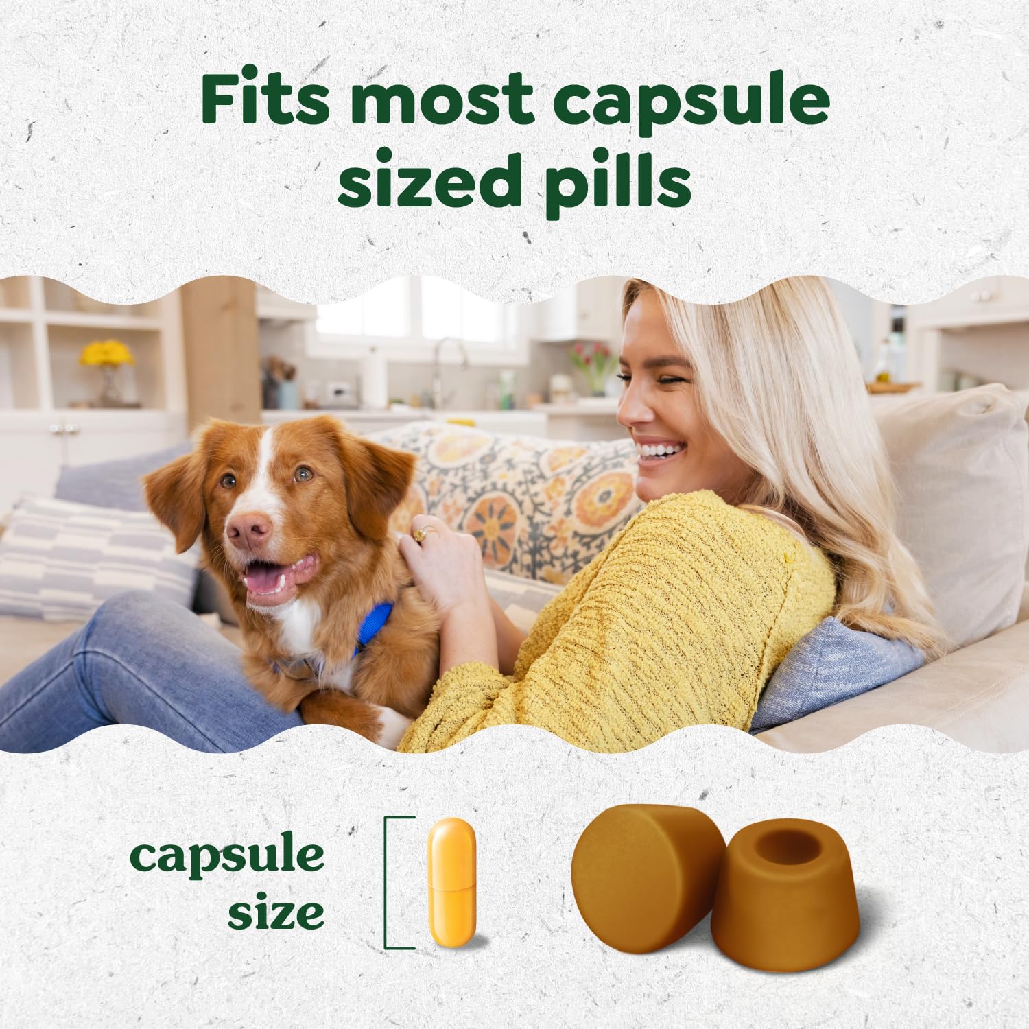 Chien qui mange Greenies Pill Pocket à la maison montrant administration sans stress