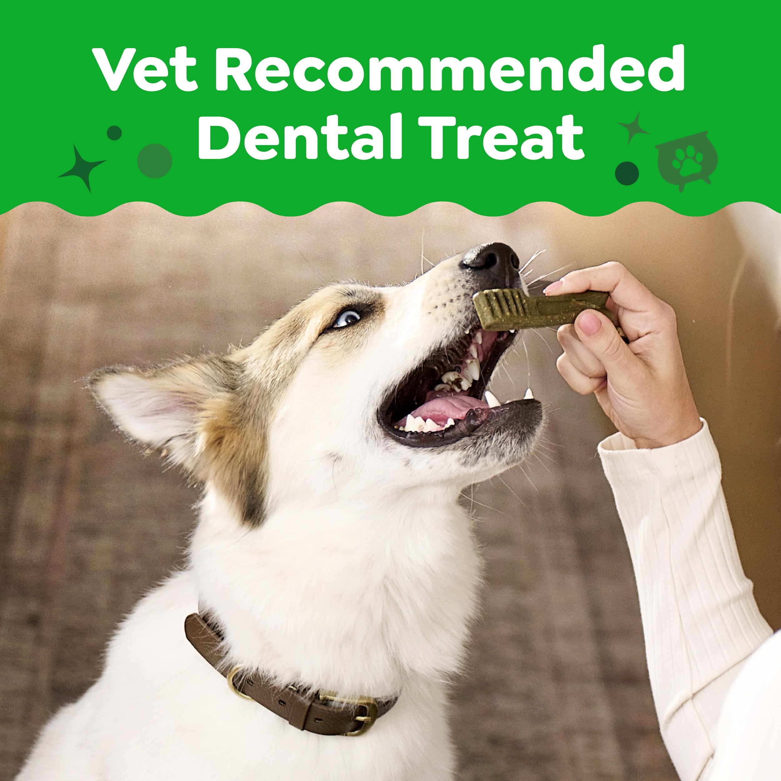Greenies gros plan sur la texture clinquante aidant à frotter les dents