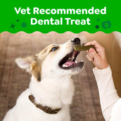 Greenies gros plan sur la texture clinquante aidant à frotter les dents