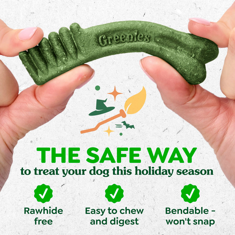 Zoom sur bords de la friandise Greenies nettoyant jusqu’au rebord gingival