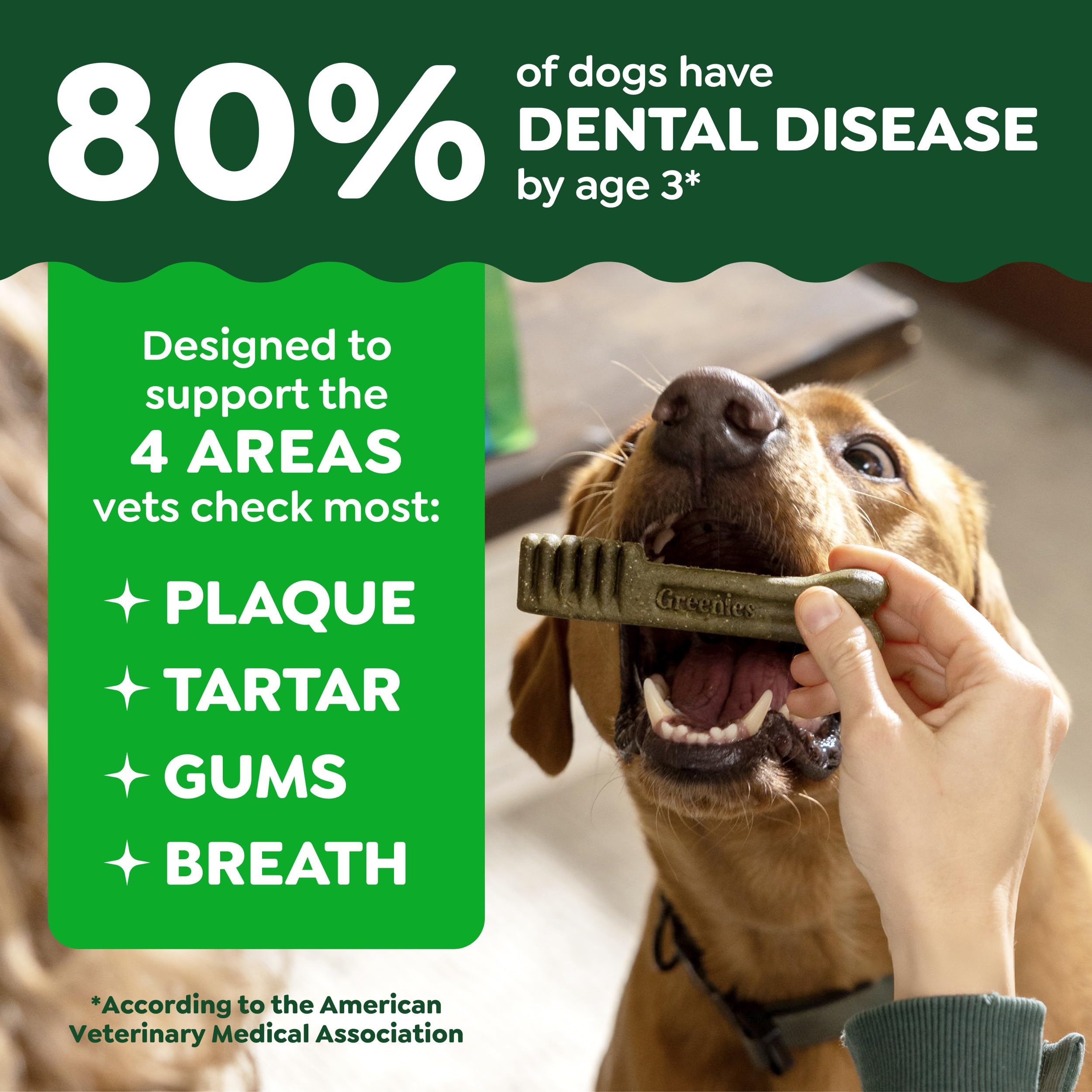 Greenies bâtonnet profil montrant forme qui frotte la ligne gingivale