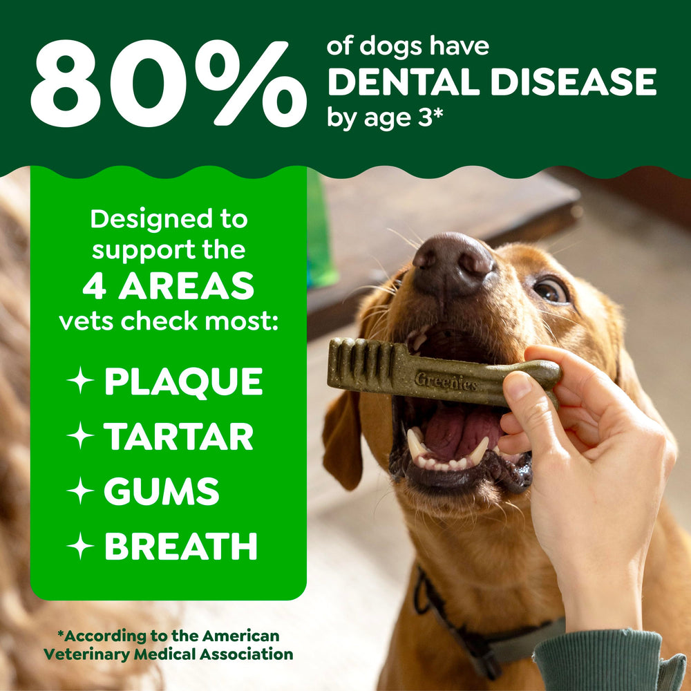 Greenies bâtonnet profil montrant forme qui frotte la ligne gingivale